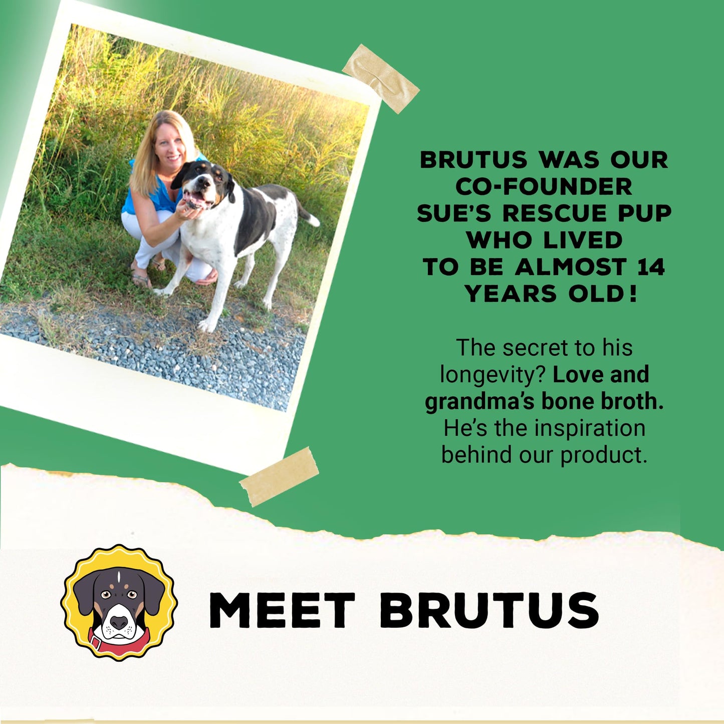 Brutus Vegetable Broth for Dogs 16.9 oz | All Natural | Made in USA | Omegas & Turmeric for Healthy Skin & Coat | Human Grade Ingredients | Hydrating Dog Food Topper, Gravy & Treat Salmon (Pack of 6)