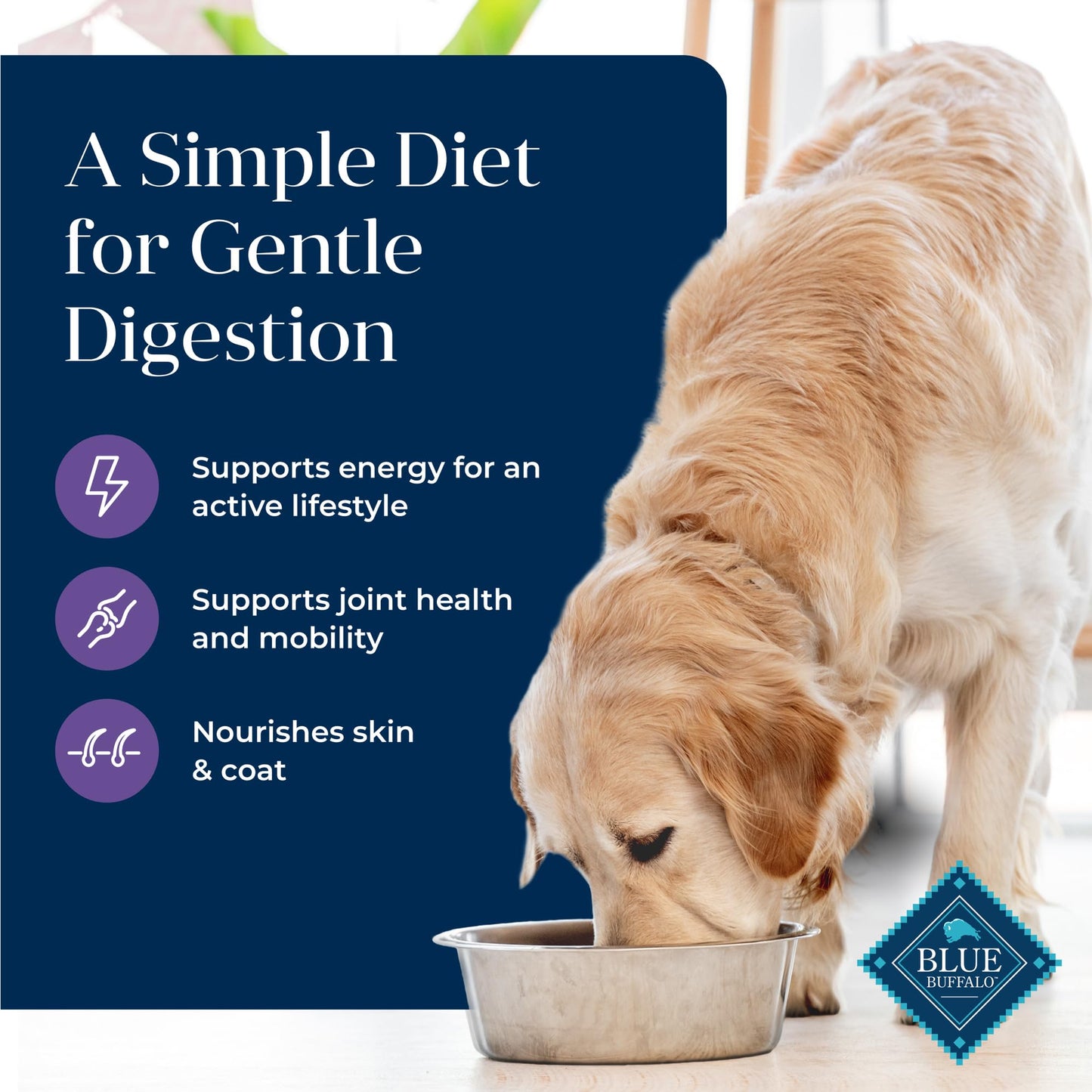 Blue Buffalo Basics Grain-Free Senior Dry Dog Food, Skin & Stomach Care, Limited Ingredient Diet, Turkey Recipe, 4-lb. Bag