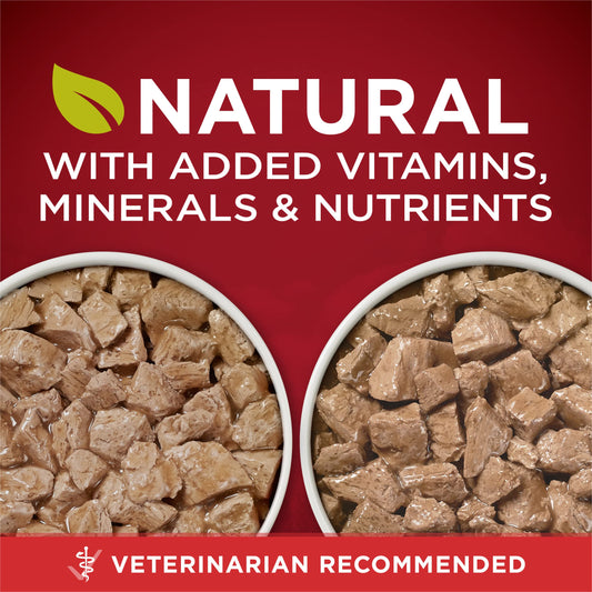 Purina ONE True Instinct Tender Cuts in Gravy With Real Turkey and Venison, and With Real Chicken and Duck High Protein Wet Dog Food Variety Pack - (Pack of 12) 13 oz. Cans