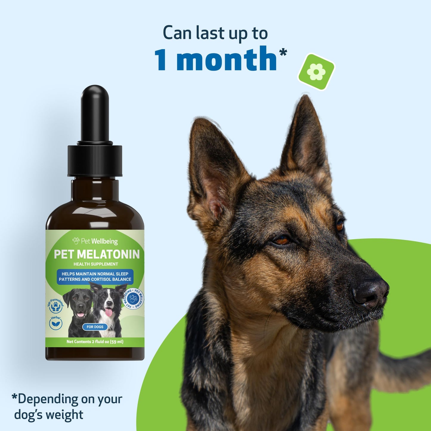Pet Wellbeing Pet Melatonin for Dogs - Supports Adrenal Health, Cortisol Balance, Helps Maintain Normal Sleep Patterns - Veterinarian-Formulated Liquid Supplement 2 fl oz (59 ml)