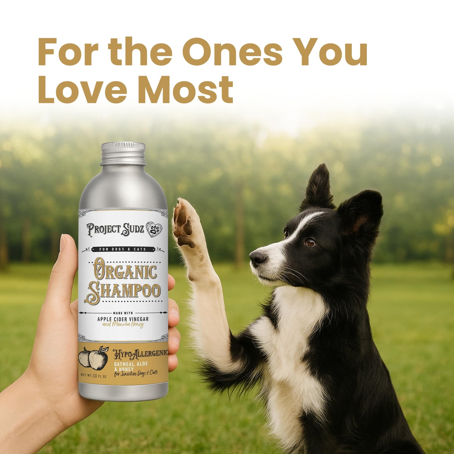 Project Sudz Hypoallergenic Dog Shampoo – Oatmeal & Honey | Extra Gentle, Unscented Pet Shampoo for Sensitive Skin | Safe for Puppies, Eco-Friendly & Made in USA