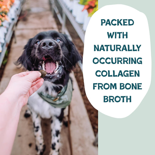 Shameless Pets Dog Training Treats Bacon/Apple and Chicken/Peanut Butter - Natural and Soft Puppy Treats with Collagen - Medium Dog Treats Pack of 2 (8oz Each)