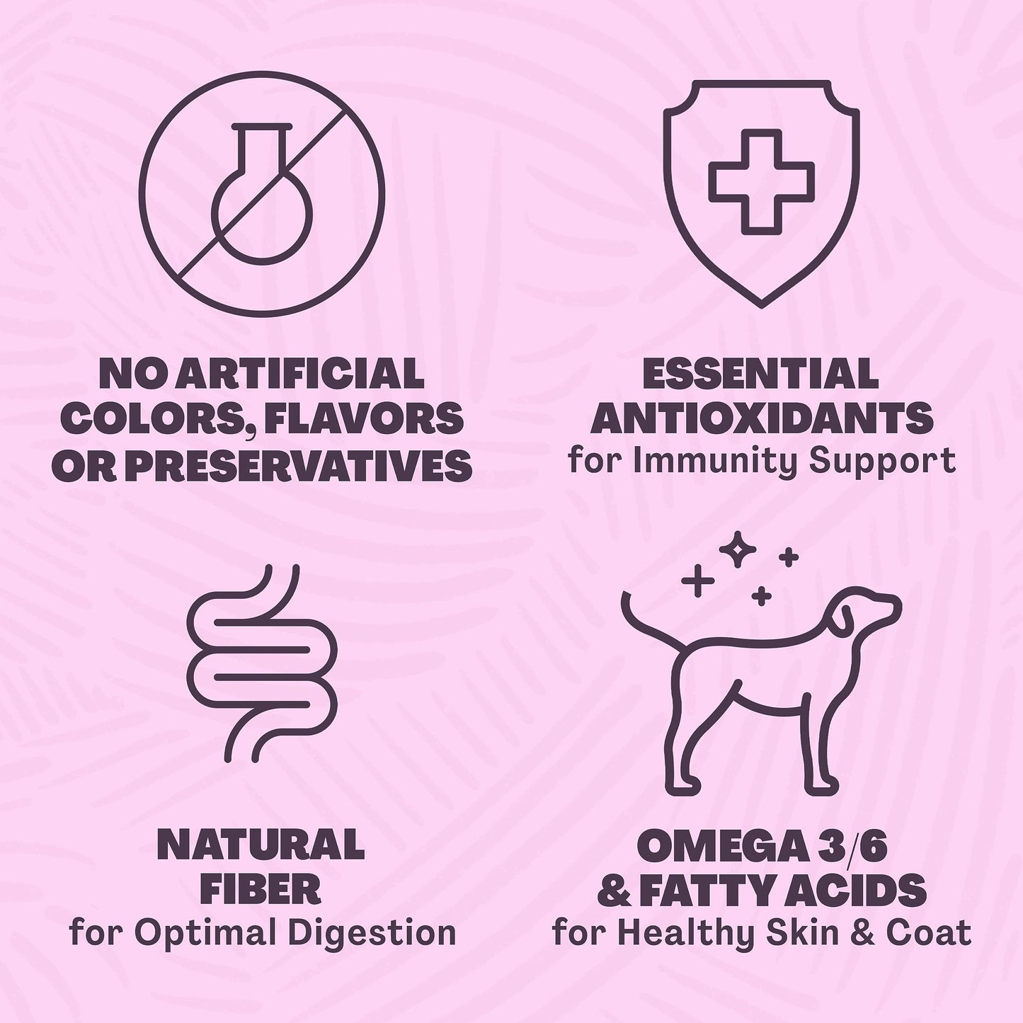 REÁL MESA Premium High-Protein Puppy Food for Healthy Growth & Development - Natural Chicken & Vegetable Asado Recipe with DHA, Calcium, & Antioxidants - Nutritious Dry Dog Food, All Breeds (4.5 lbs)