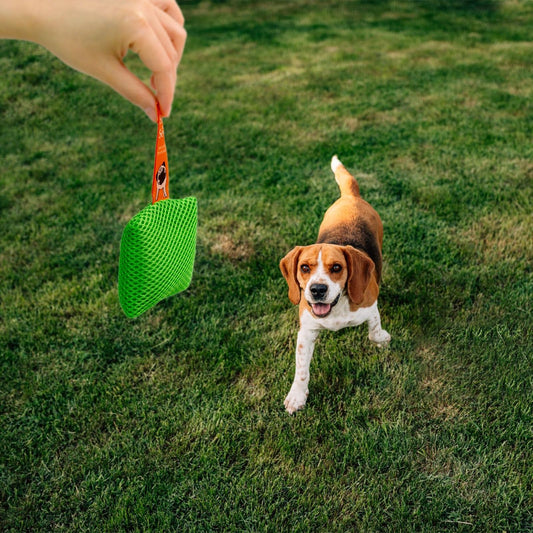 Dog scent training kit,Dog Brain Games, Hide and Seek Dog Toys, Dog Games - Fun Nose Work for Dogs, Sniff and Seek Dog Sniffing Toys , Dog Nosework Kit, Scent Work Kit for All Ages Dog (Green)