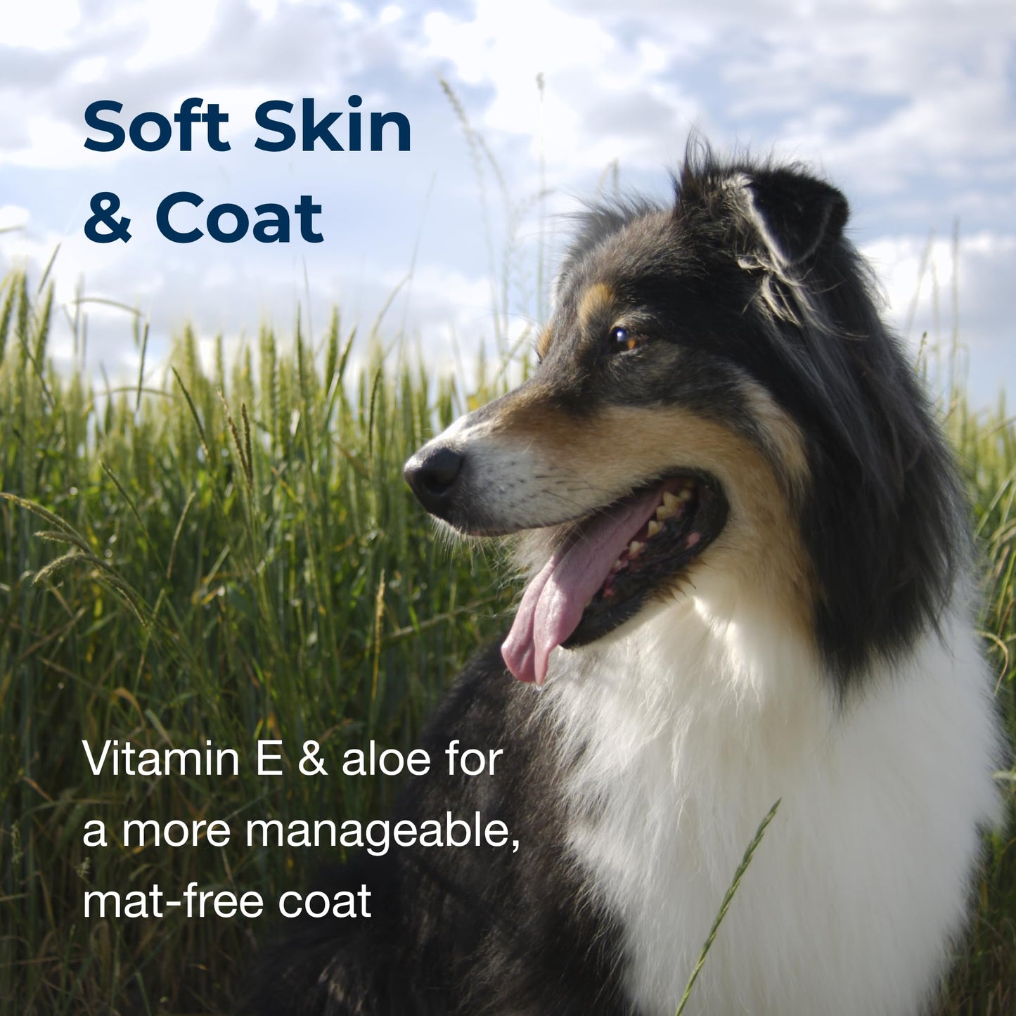 Artero Moisturizing. Shampoo for Dogs. Great Hydration. Ideal for Yorkshire Terrier Dogs, Bichon Maltese, for Pets with Long Hair and/or Dry or Damaged Coats. with Biotin.