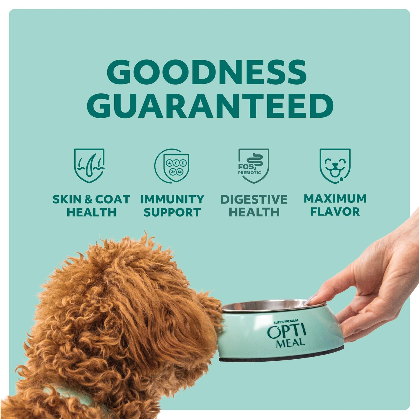 Optimeal Large Breed Dry Dog Food - Promotes Joint Health, Lean Muscles with Skin & Digestive Support, Tasty Protein, Premium Nutrition Made with Natural Ingredients for Medium & Large Adult Dogs