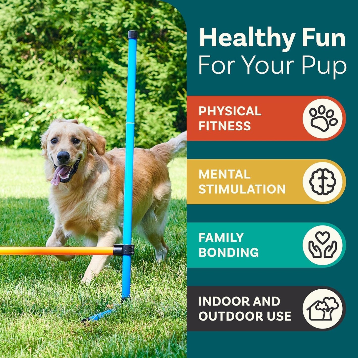 PetCove Dog Agility Set - Backyard Obstacle Course with Jumps, Tunnel and Training Equipment - Dog Agility Course Backyard Set - Assembles in Minutes - Includes Carrying Bags for Transport & Storage