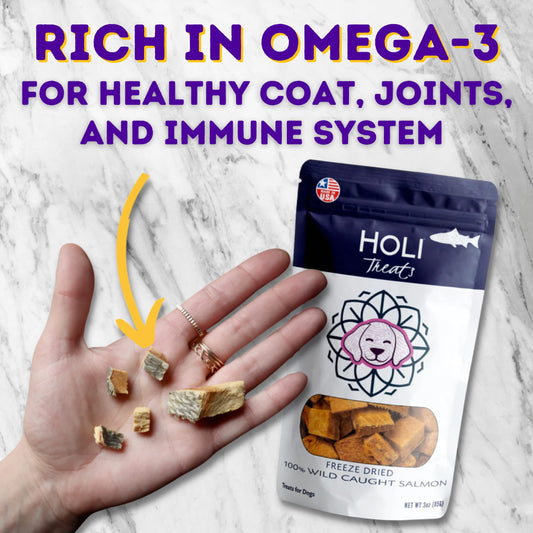 HOLI Freeze Dried Salmon Dog Treats - with Omega 3 and 6 Fish Oil - All Natural - Human Grade - Wild Caught Salmon with Skin - Made in USA - Grain Free - Diabetic Friendly