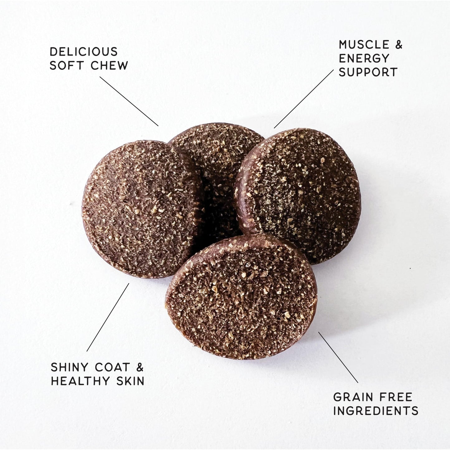 CHAMPS Soft Healthy Dog Treats for Skin & Coat Support Made with Omega 3, Biotin & Flaxseed - Grain Free Salmon - 16 oz