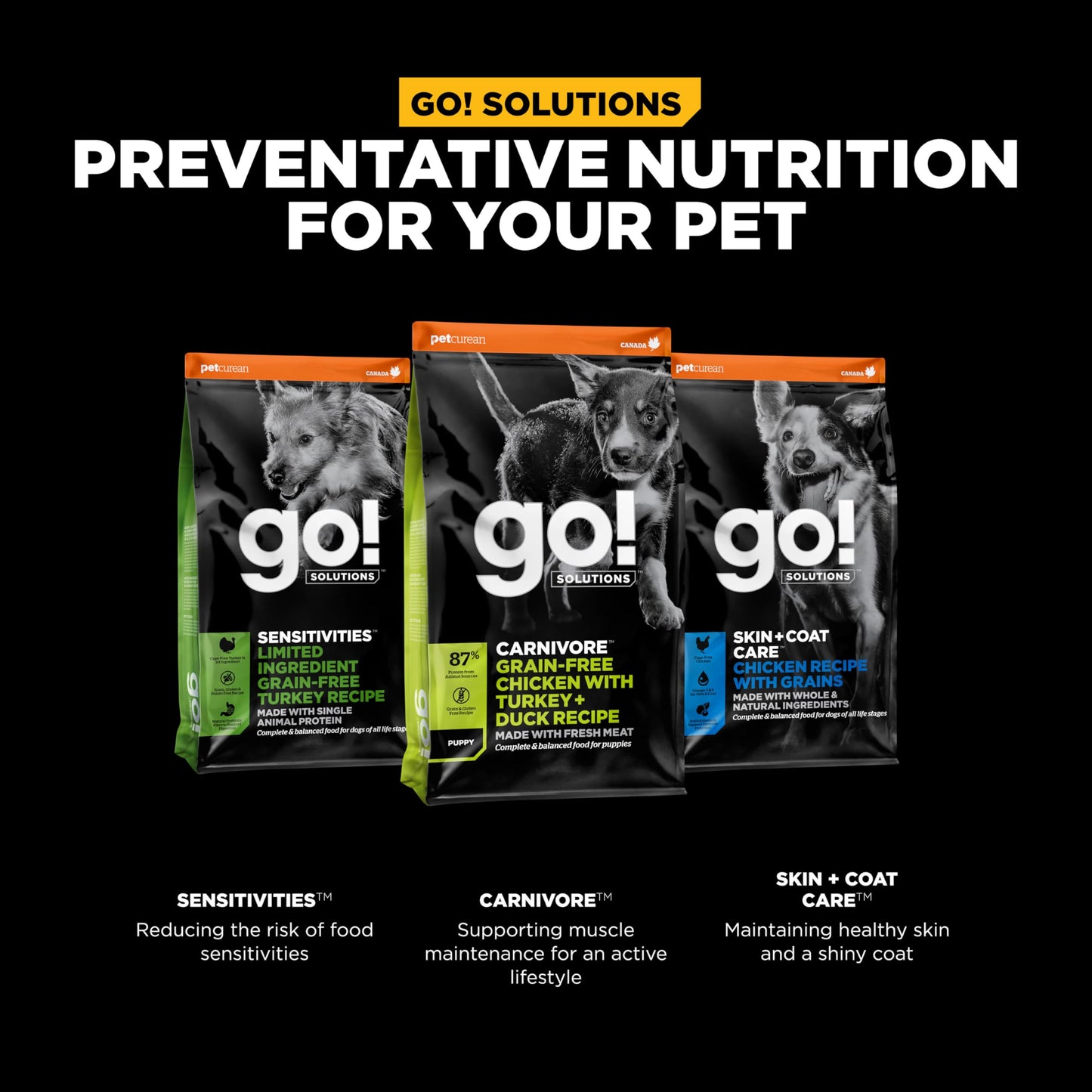 Go! Solutions Carnivore, Grain-Free, Protein Rich Dry Dog Food, Chicken, Turkey and Duck Puppy Recipe, Small Kibble, 3.5 lb Bag