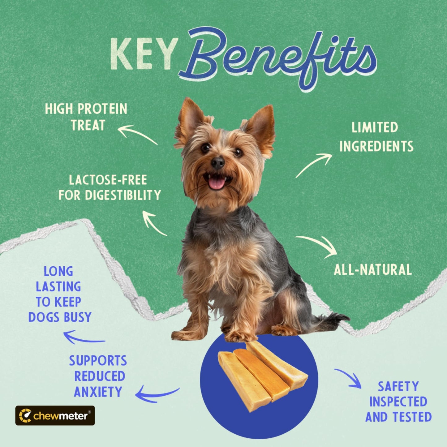 Chewmeter Yaky Himalayan Cheese Chews | Natural Yak Cheese Dog Chews | Long Lasting, Stain Free, Protein Rich, Low Odor | 100% Natural, Healthy & Safe | Small | for Dogs 15 lbs and Smaller | 2.5lb