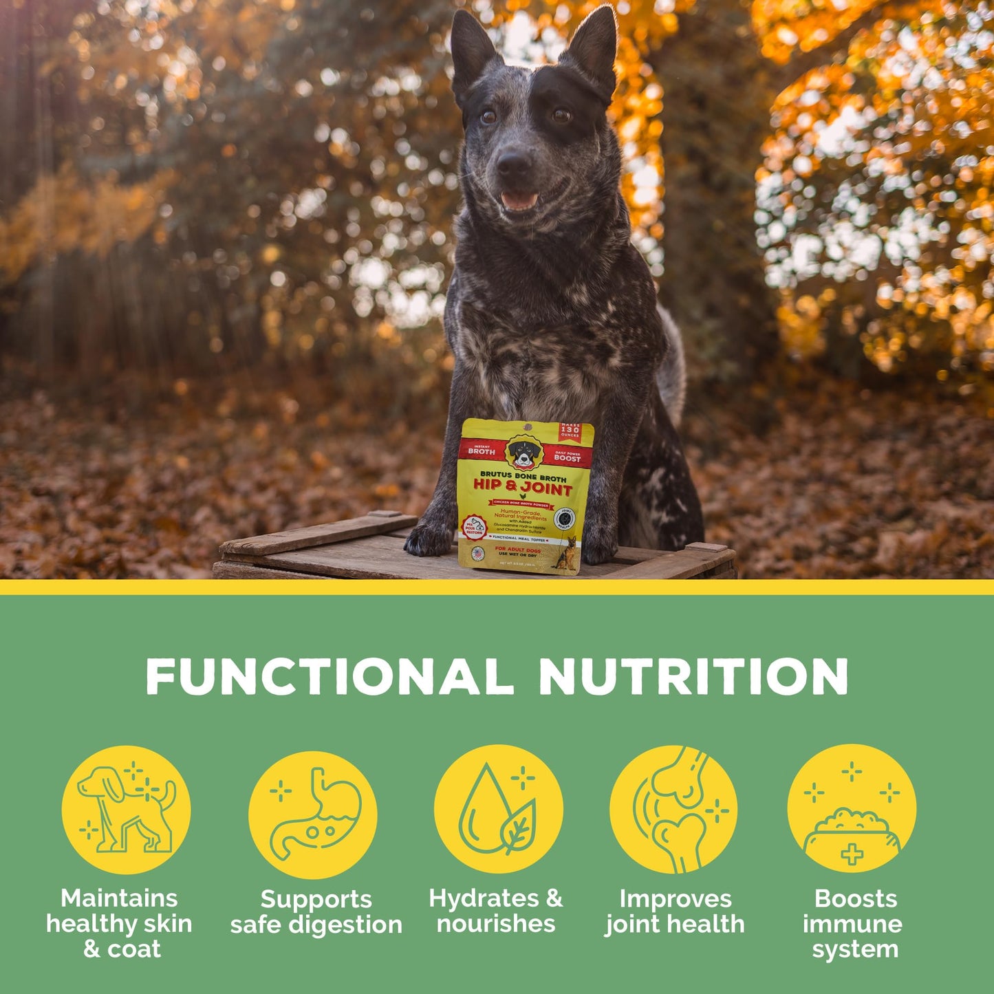 Brutus Bone Broth Hip and Joint Meal Toppers for Dogs Mega Pack (Chicken) - Bone Broth Powder with Chondroitin, Glucosamine & Turmeric - Makes 130oz of Liquid Bone Broth