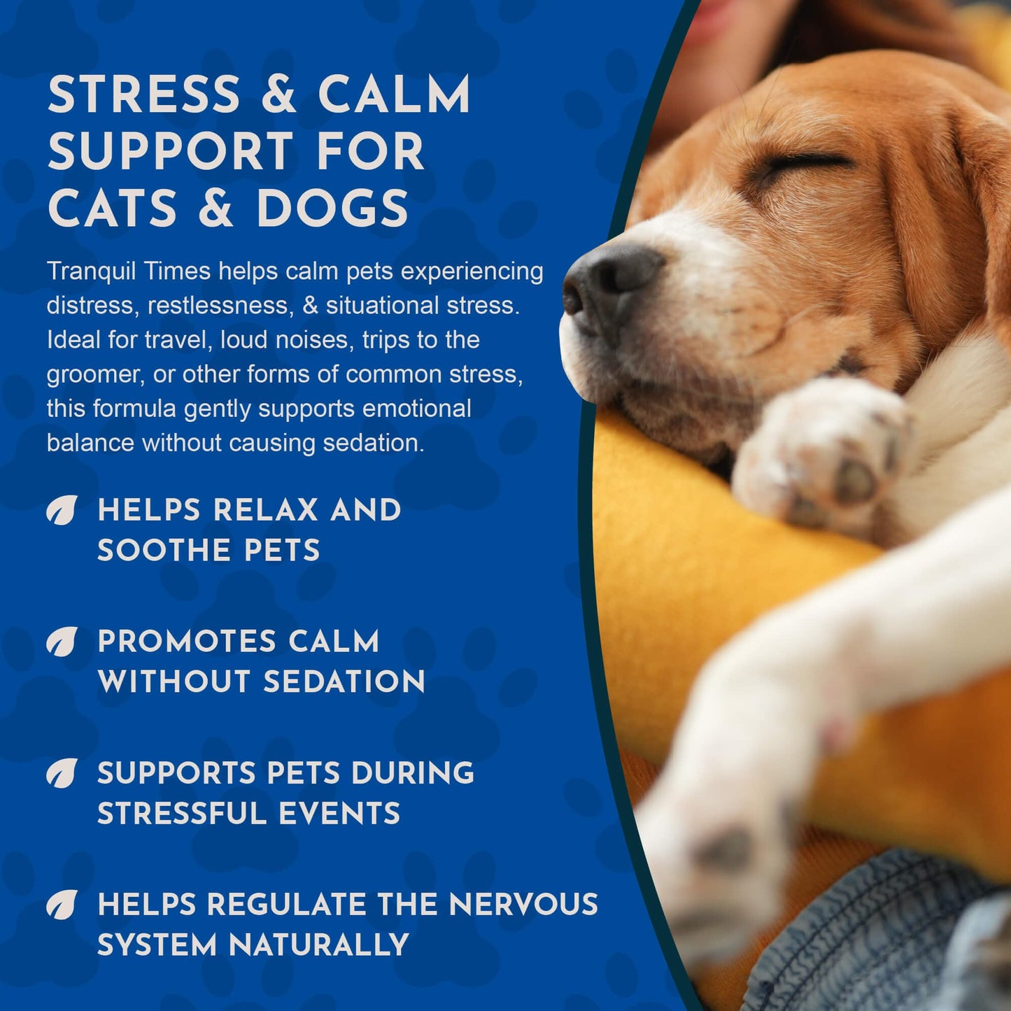 Animal Essentials Tranquility Blend for Dogs & Cats - Calming Supplement, Valerian Root, Liquid Drops, Herbal Formula - 1 Fl Oz