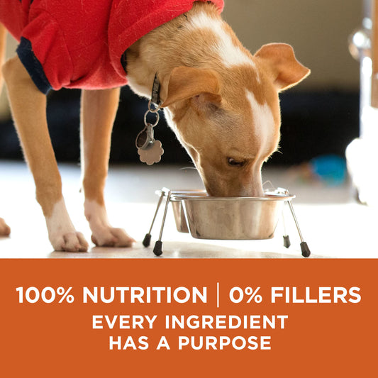 Purina ONE Plus Healthy Weight High-Protein Dog Food Dry Formula - 31.1 lb. Bag