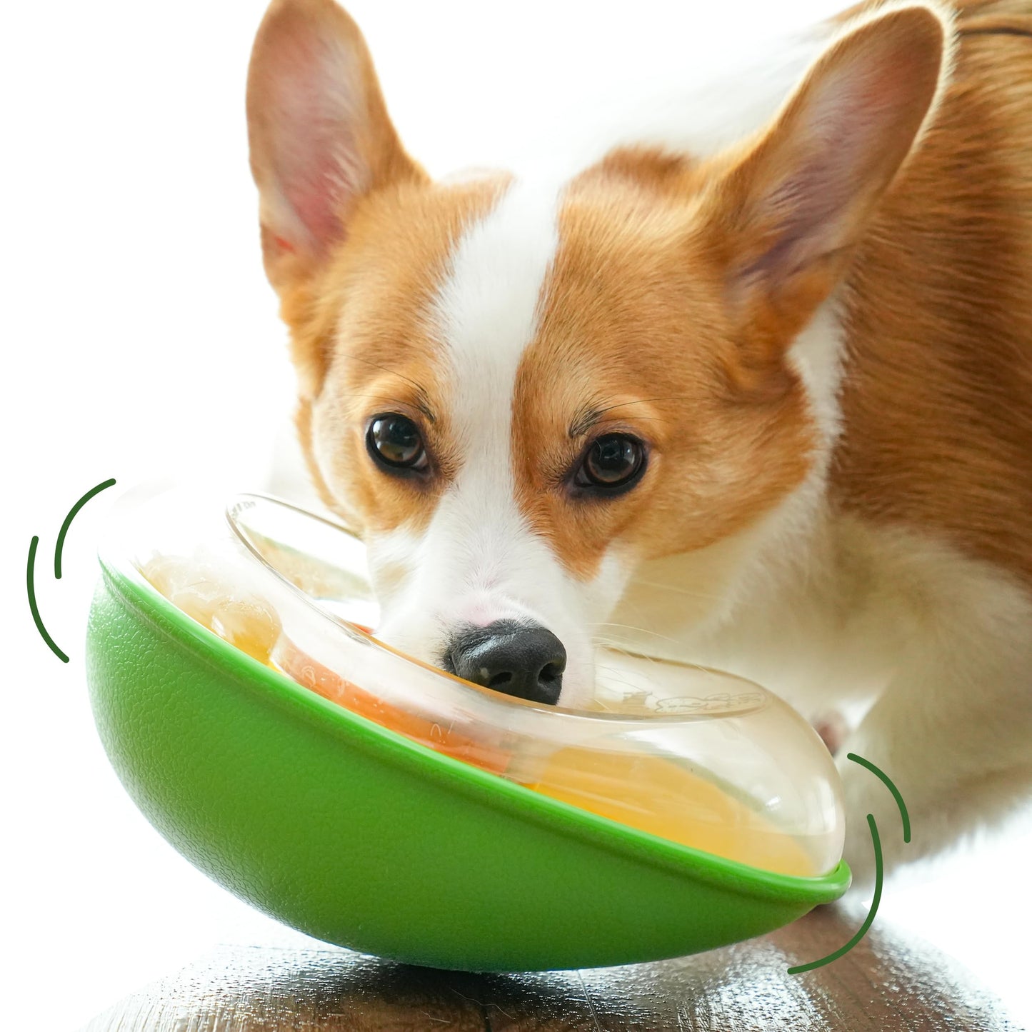 PAW QUEST Avocado Non-Spill Treat Dispensing Wobble Toys for Dogs
