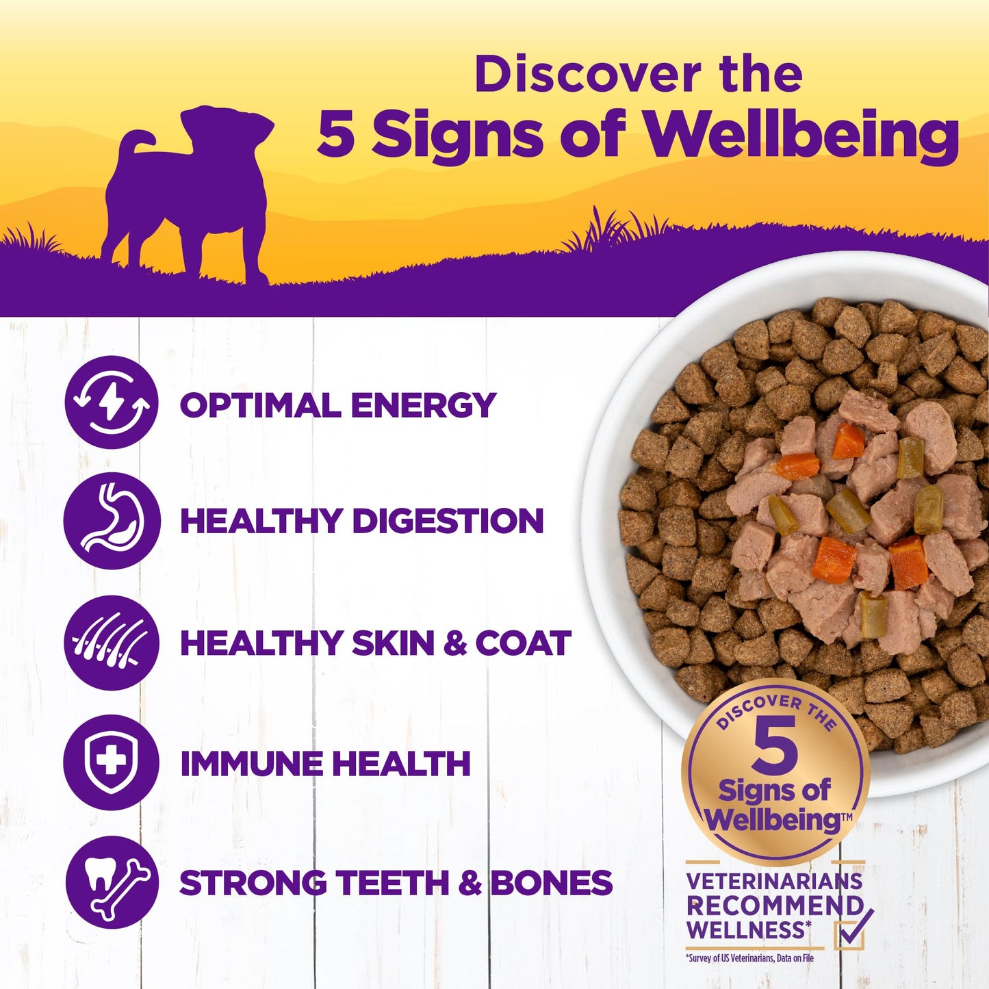 Wellness Petite Entrees Mini Fillets Natural Wet Small Breed Dog Food, Roasted Chicken, Beef, Carrots & Green Beans, 3-Ounce Cup (Pack of 24)