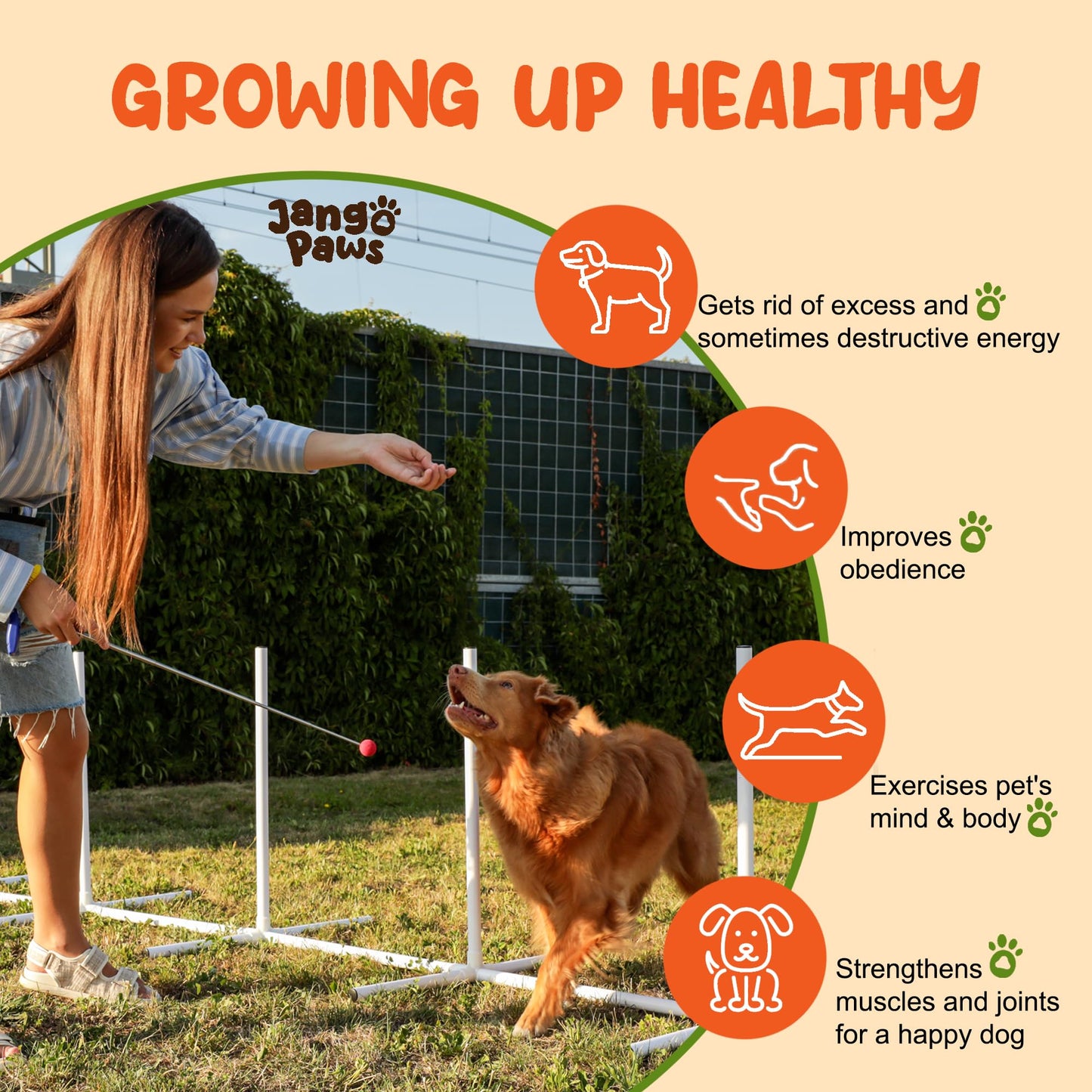Jango Paws Premium Agility Training Equipment for Dogs - 14pc Complete Dog Training Set with Agility Jumps, Durable Tunnels, Weave Pole - Indoor and Outdoor Dog Exercise and Obstacle Course