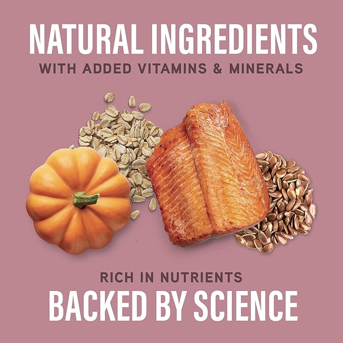 Natural Balance Specialized Nutrition Dry Dog Food with Salmon and Oatmeal for Dogs, Sensitive Skin & Stomach Dog Food, Natural Ingredients with Added Vitamins & Minerals - 22 lbs