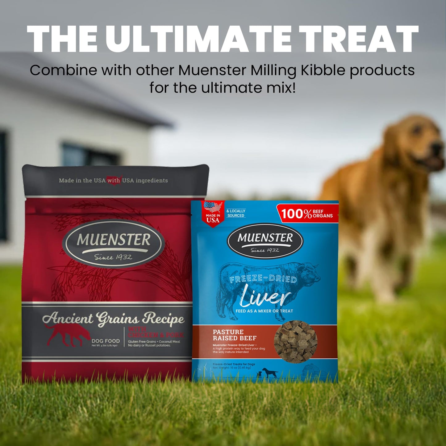 Muenster Freeze Dried Beef Liver Bites - Dog Treats, Mixer or Topper (16oz) - One Ingredient