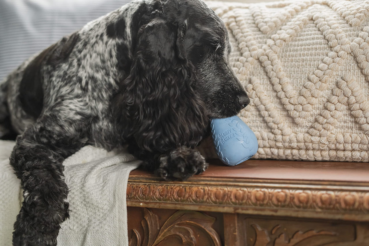 Harry Barker Durable Rubber Treater Toy - Medium