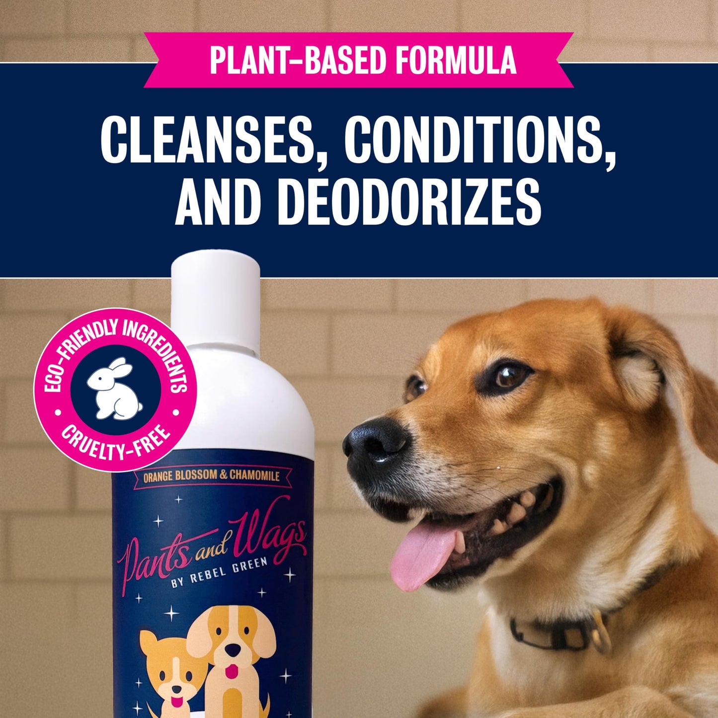 Pants & Wags by Rebel Green Squeaky Clean Pet Shampoo Concentrate - Orange Blossom & Chamomile - Hypoallergenic - No Dyes or Perfumes - 16 oz - 2 Pack