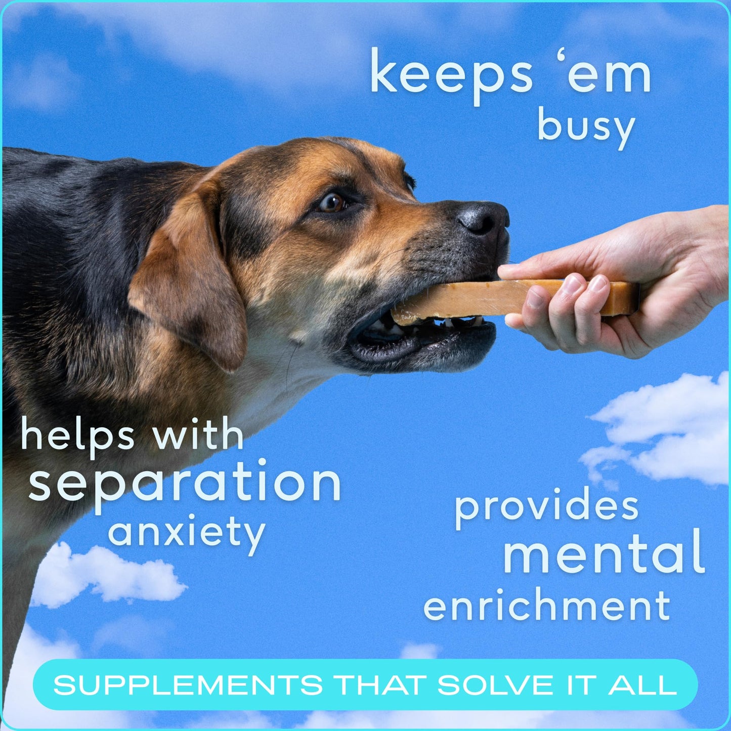 Native Pet Omega Oil for Dogs - Dog Fish Oil Supplements & Yak Chews for Dogs | Pasture-Raised and Organic Yak Cheese Himalayan Churpi Chews | 8 Oz. & 3 XL Yak Chews