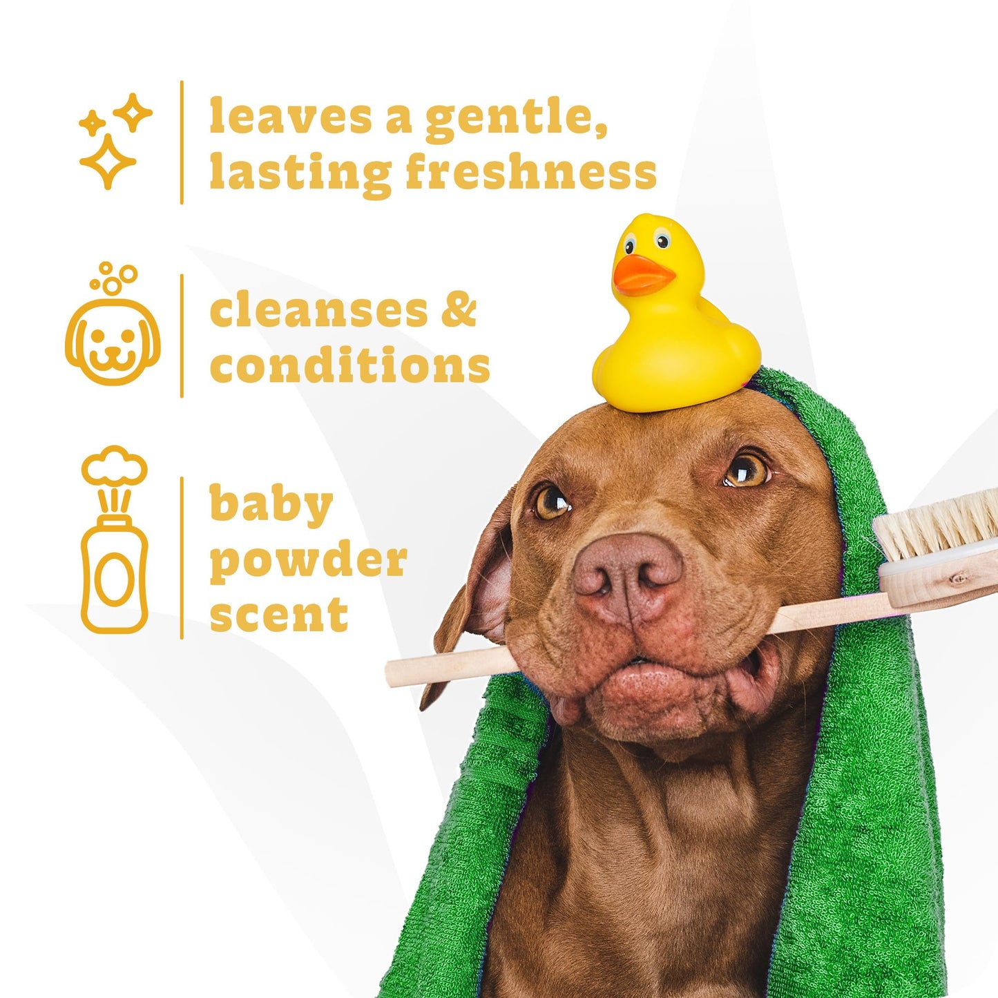 Espree Gentle Fresh Puppy Shampoo & Conditioner, Tearless Formula with Aloe Vera, Sulfate-Free, Paraben-Free, Harsh Chemical and Dye-Free, Safe for Dogs with Sensitive Skin, 20oz