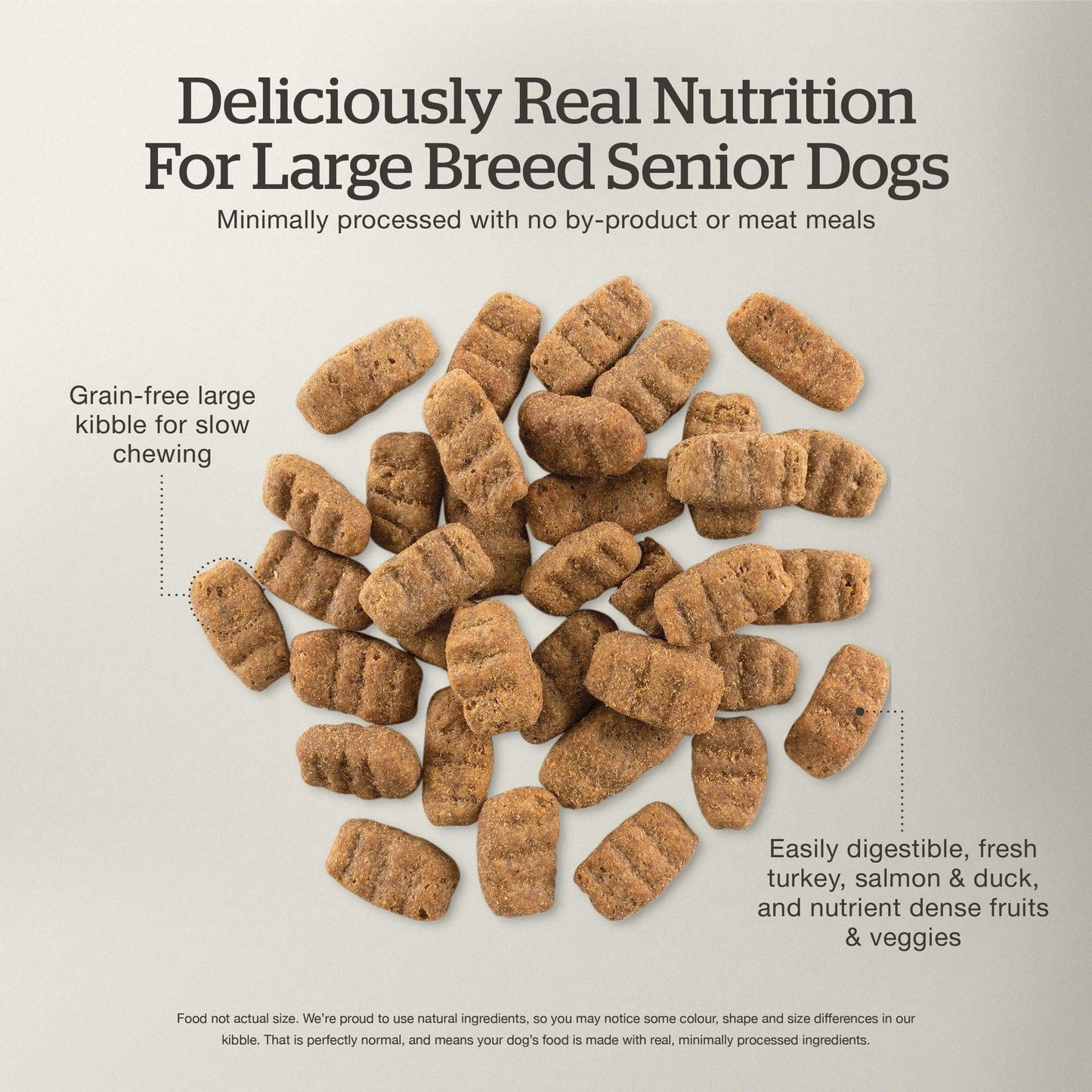 Now Fresh Grain-Free Large Breed Senior Dry Dog Food with Turkey, Salmon & Duck, Premium Kibble Made with Real Meat & Fish, Chicken-Free, Added Glucosamine & Chondroitin for Healthy Joints, 25 lb Bag