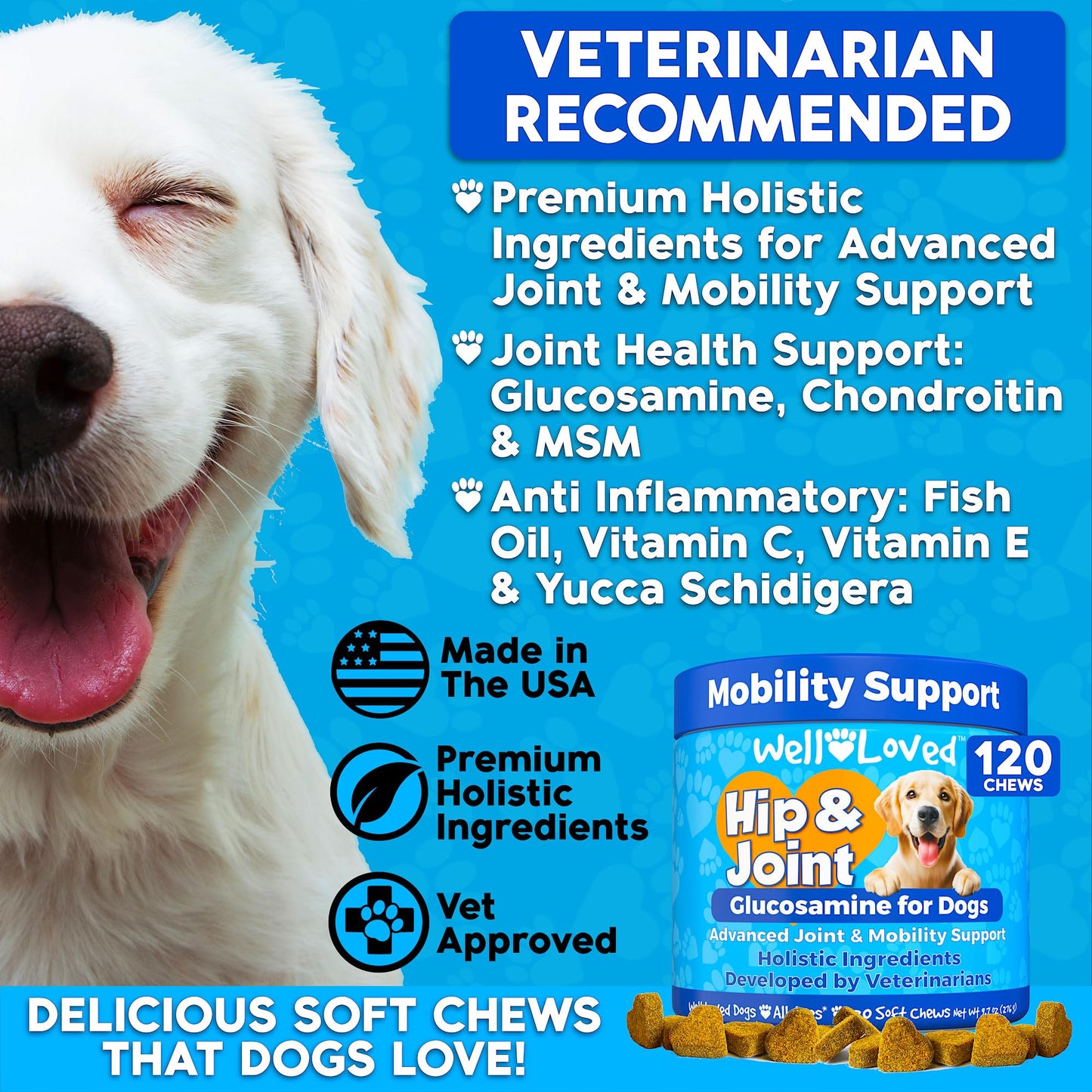 Well Loved Glucosamine for Dogs - Joint Supplement for Dogs, Made in USA, Vet Developed, Glucosamine Chondroitin, Hip and Joint Chews with MSM, Large Breed, Pain Relief, 120 Chews