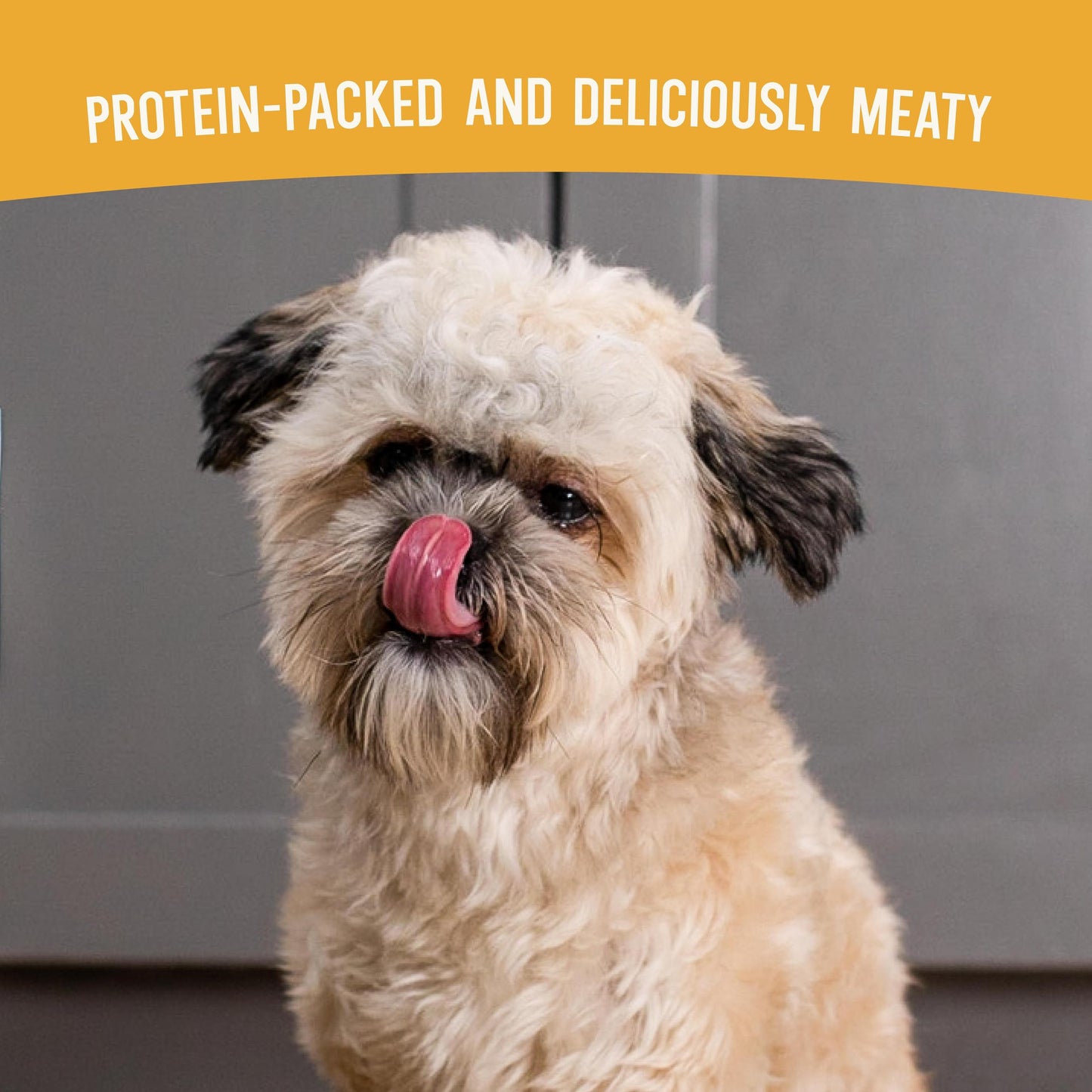 Open Farm, Air Dried Dog Food Infused with Bone Broth, Grain & Legume Free, Complete Meal or Food Topper, Harvest Chicken Recipe, 1lb Bag