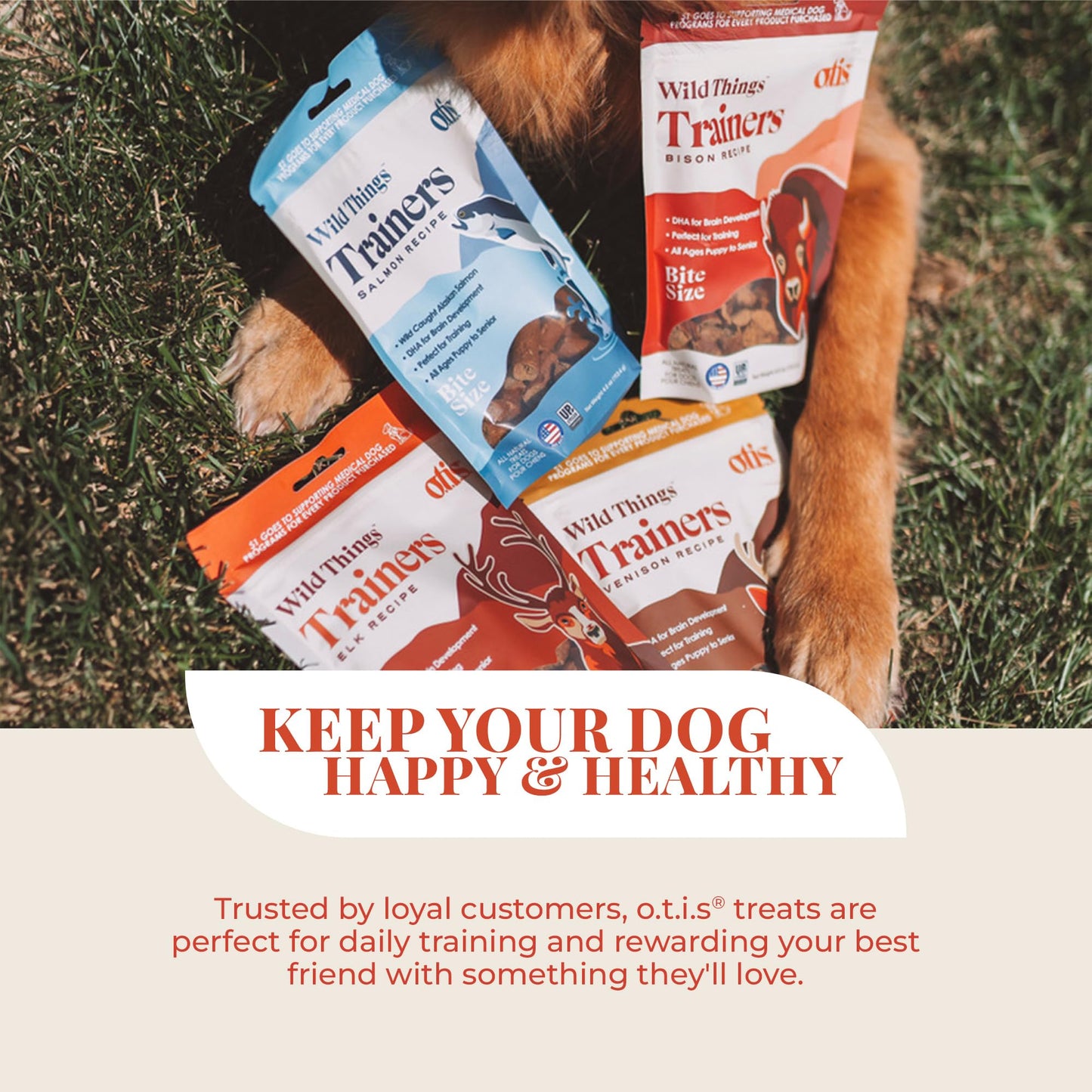 O.T.I.S. Wild Things Trainers Bison Recipe – 4 oz – Bite-Size Dog Training Treats with DHA, Ashwagandha & L-Theanine – GMO-Free – No Hormones or Artificial Additives