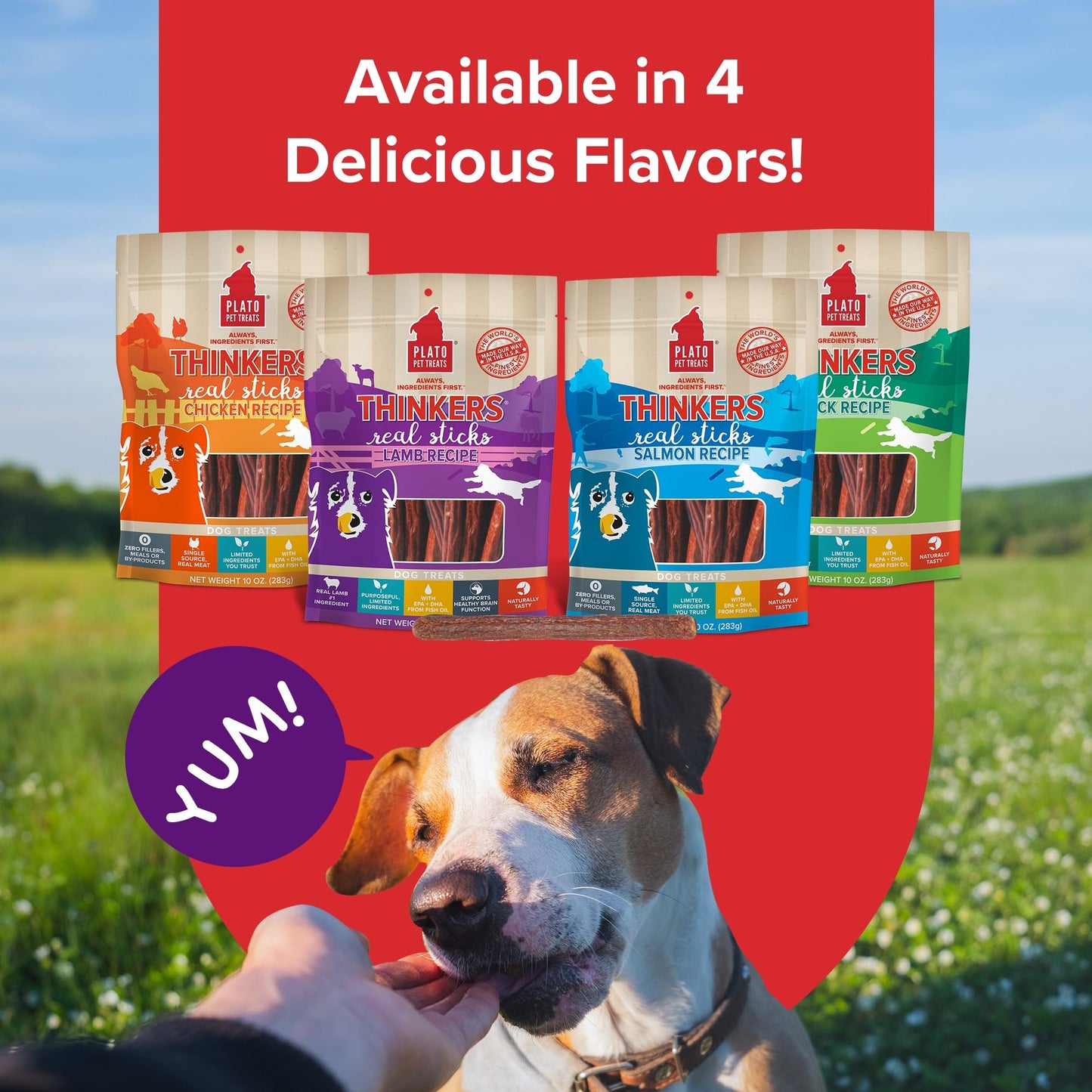 Plato Pet Treats Thinkers - Meat Sticks for Dogs - Limited Ingredient Treats with EPA and DHA to Support Skin, Coat, and Brain - Air-Dried - Lamb 18oz