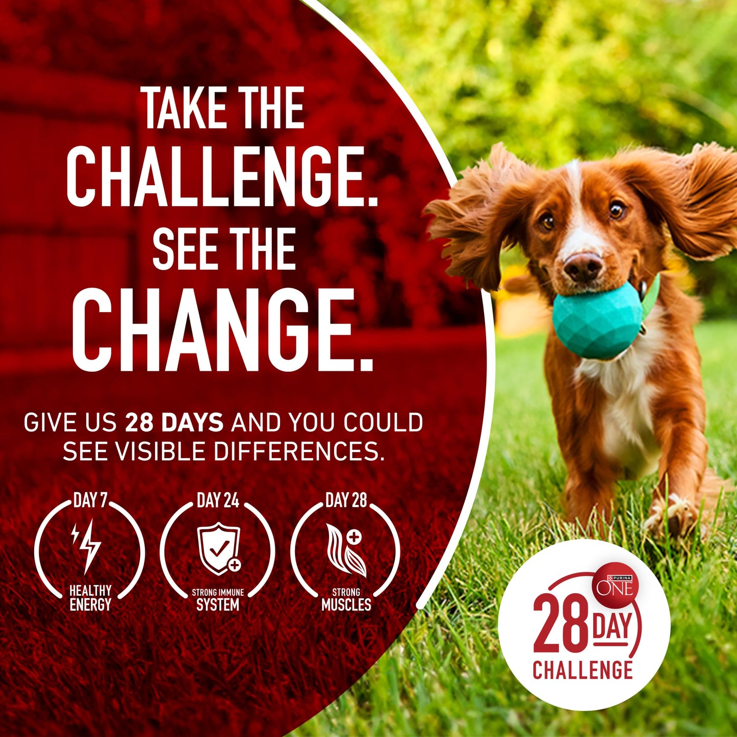 Purina ONE True Instinct High Protein Dry Dog Food Formula with Real Chicken and Duck Natural with Added Vitamins and Minerals Dog Food - 27.5 lb. Bag