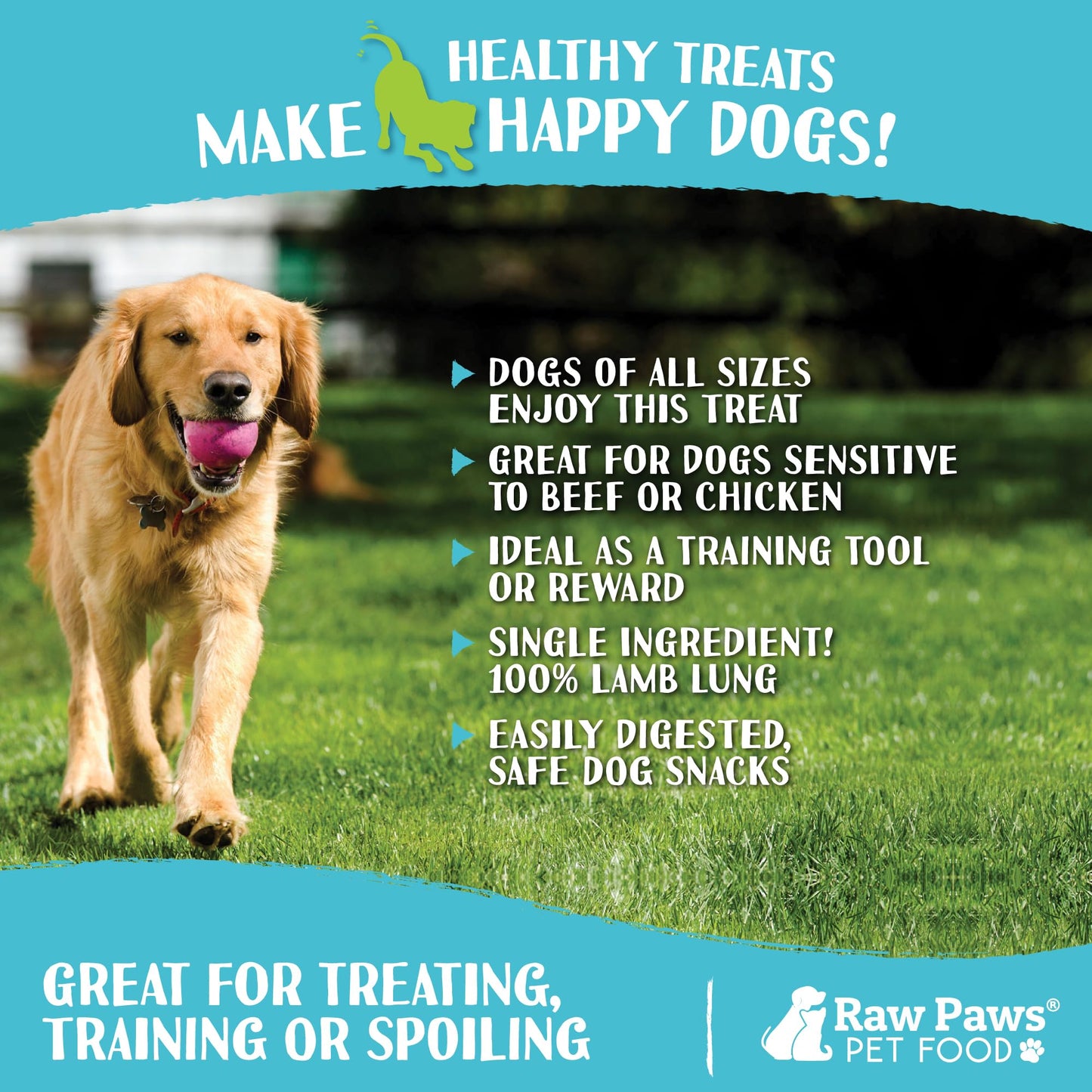 Raw Paws Lamb Lung Treats for Dogs (8-Ounce) - Packed in USA - Free Range Dehydrated Lamb for Dogs - Crunchy Natural Bites - Dog Treat Training Lung Filets