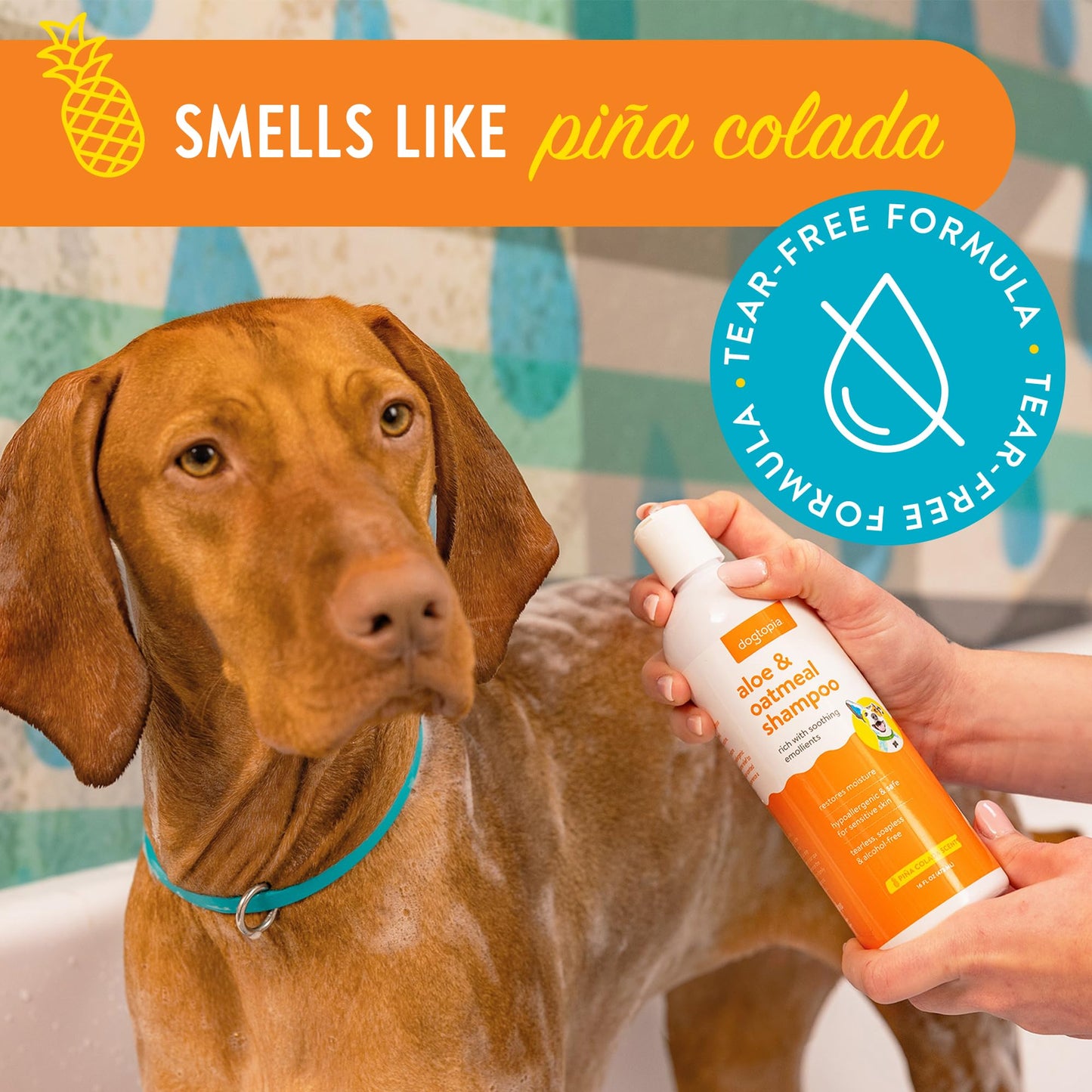 Aloe & Oatmeal Dog Shampoo and Conditioner Combo - Skin Safe Hydration, Emollient Rich, Moisturizing (Shampoo & Conditioner Set) - 2X 16oz Bottles w/Pina Colada Scent