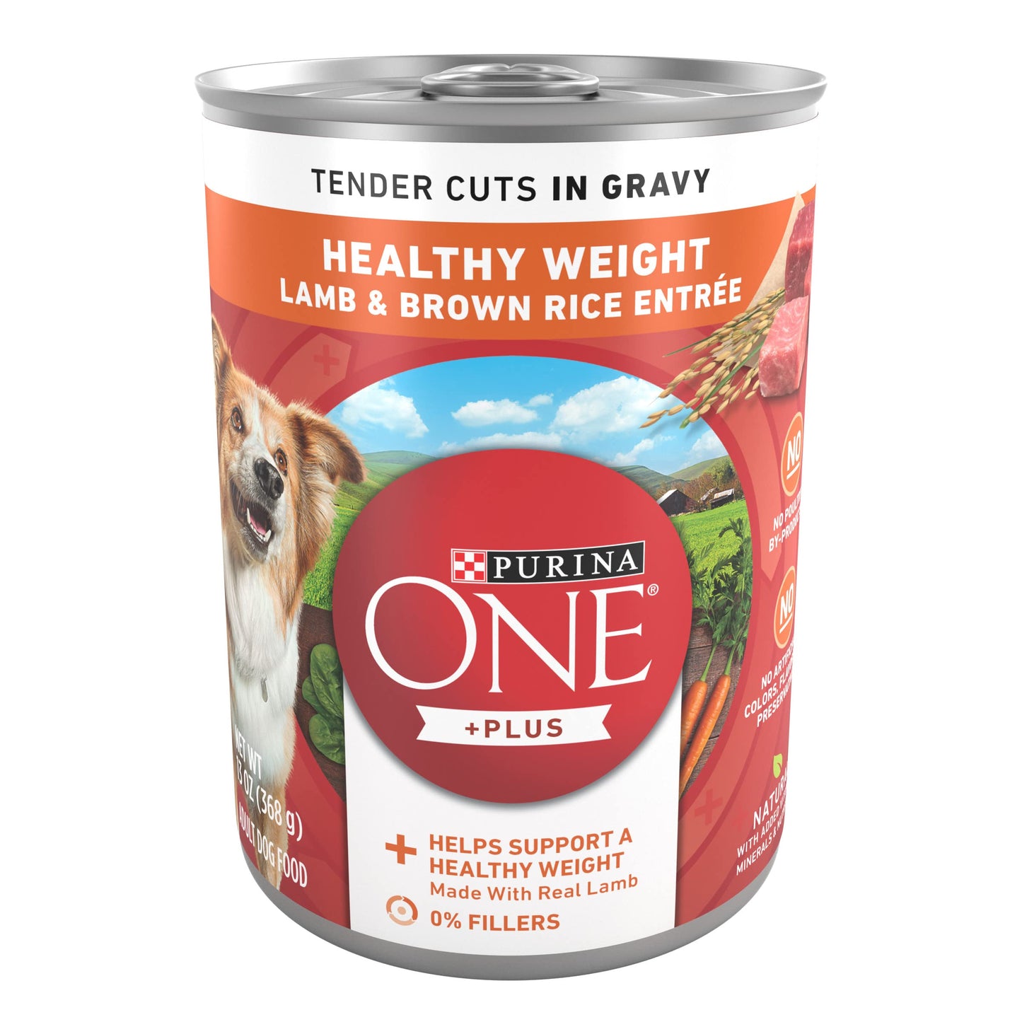 Purina ONE Plus Tender Cuts in Gravy Healthy Weight Lamb and Brown Rice Entree in Wet Dog Food Gravy - (Pack of 12) 13 oz. Cans