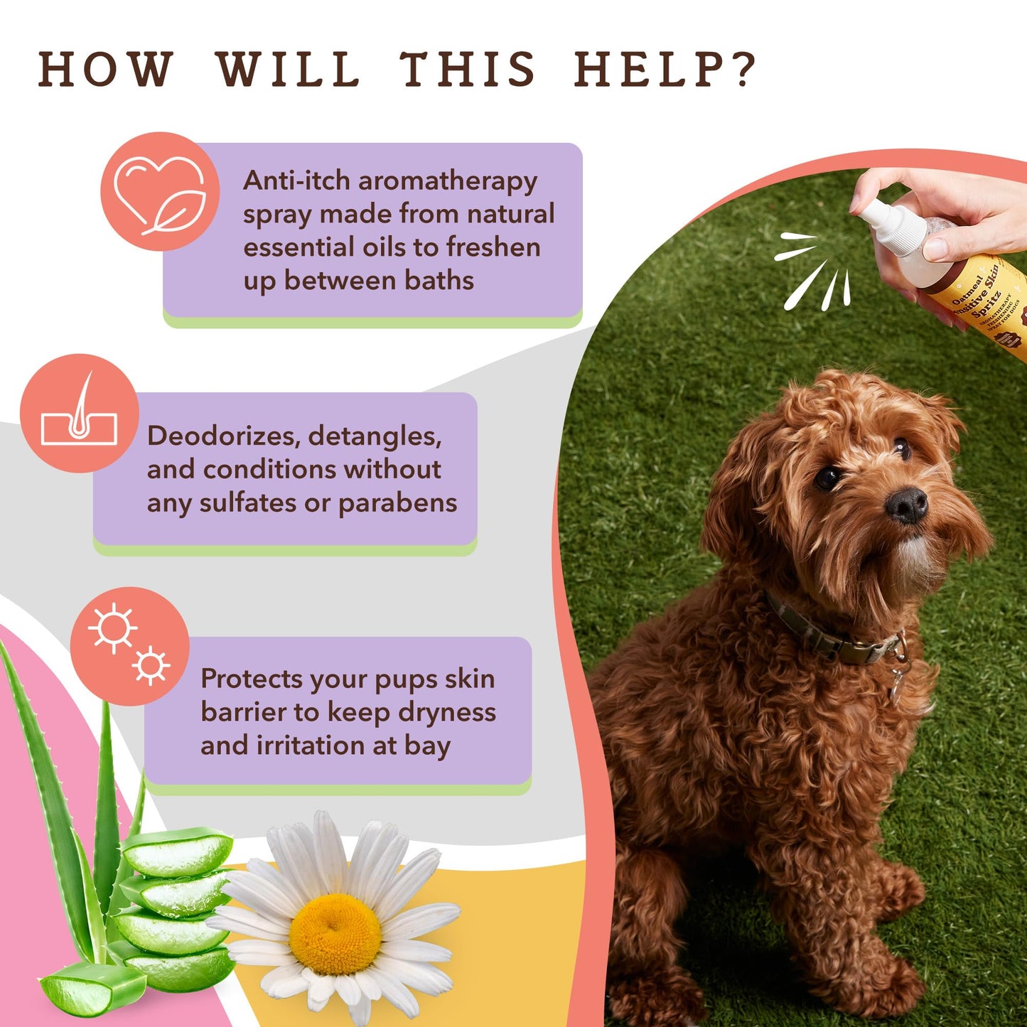 Natural Dog Company Sensitive Skin Shampoo and deodorizing Spray Grooming Bundle, Includes (1) Sensitive Skin Shampoo 12 Oz, (1) Sensitive Skin Dog deodorizing Spray 8 Oz