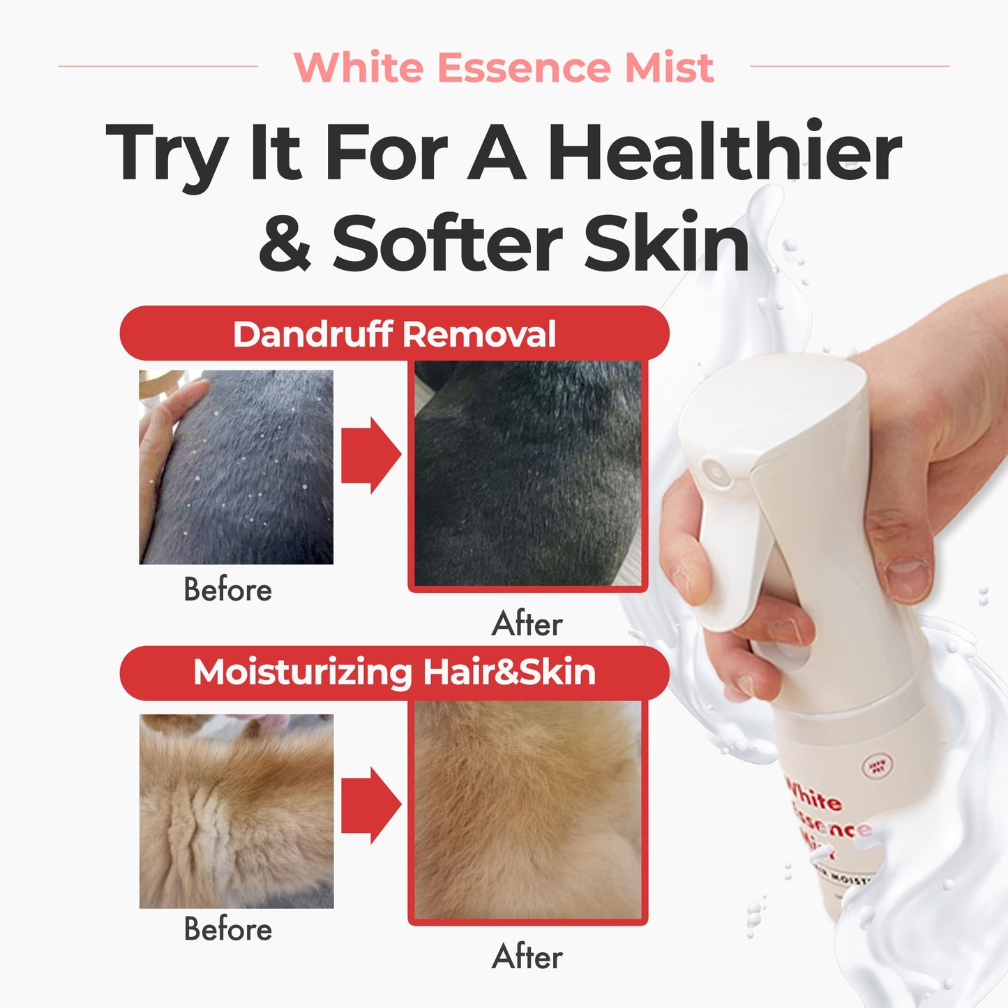 JAYU PET White Essence Mist - Dog Itch Relief, Hypoallergenic Soothing Spray, Dandruff & Dry Skin Spray (5.8fl oz, 170ml)