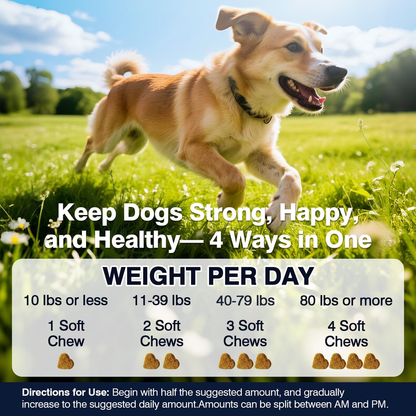 Hip and Joint Supplement for Dogs Dog Probiotics Glucosamine Chondroitin MSM Chew for Dog Arthritis Pain Relief Extend Joint Care, Probiotic for Digestive/Gut Health for Large/Small/Senior Breed Dogs