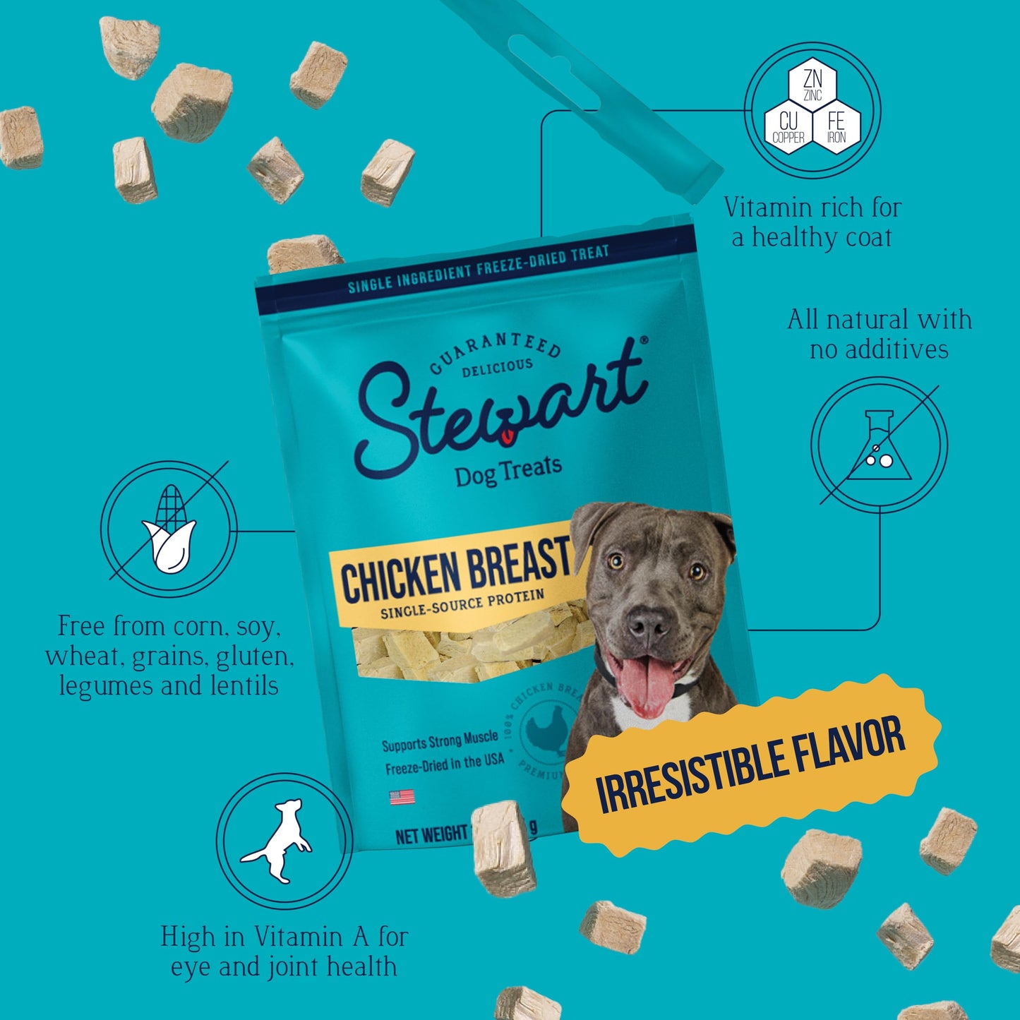 Stewart Single Ingredient Freeze Dried Raw Dog Treats, Chicken Breast, 3 Ounce, Approx. 55 Pieces per Resealable Pouch, Training Treats or Meal Topper, High Protein, Grain Free, Gluten Free