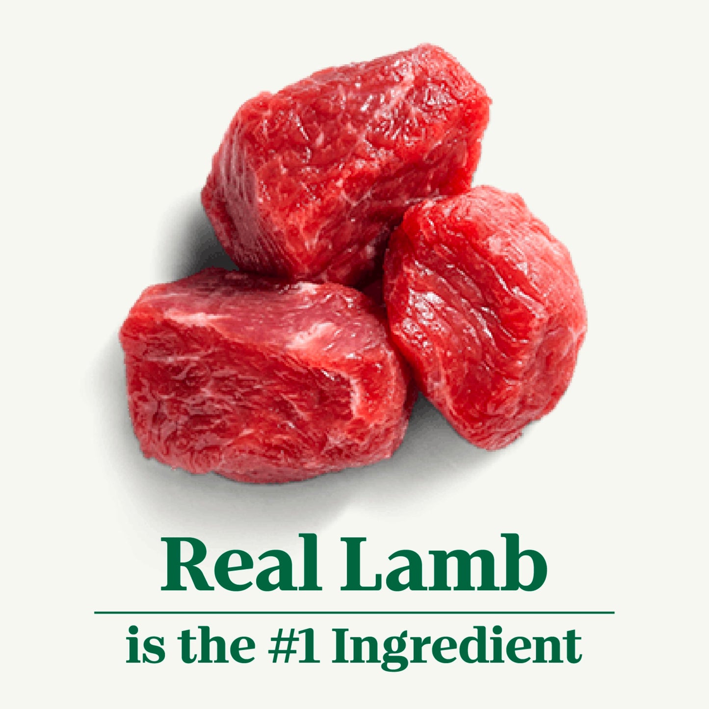 Now Fresh Grain-Free, Dry Dog Food, Real Meat and Fish, Turkey, Salmon and Duck Senior Recipe, All Breed Size, 3.5 lb Bag