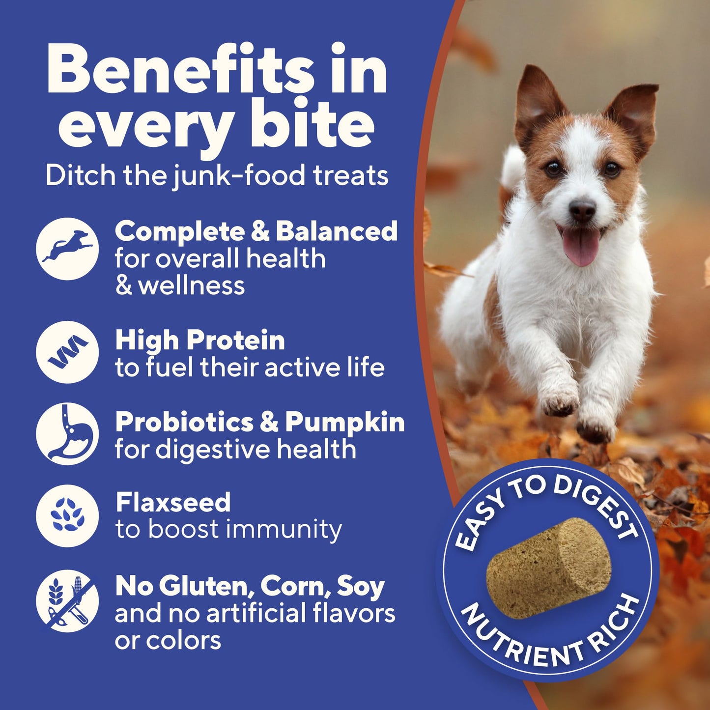 Stewart Single Ingredient Freeze Dried Raw Dog Treats, Beef Liver, 4 Ounce, Approx. 90 Pieces per Resealable Tub, Training Treats or Meal Topper, High Protein, Grain Free, Gluten Free