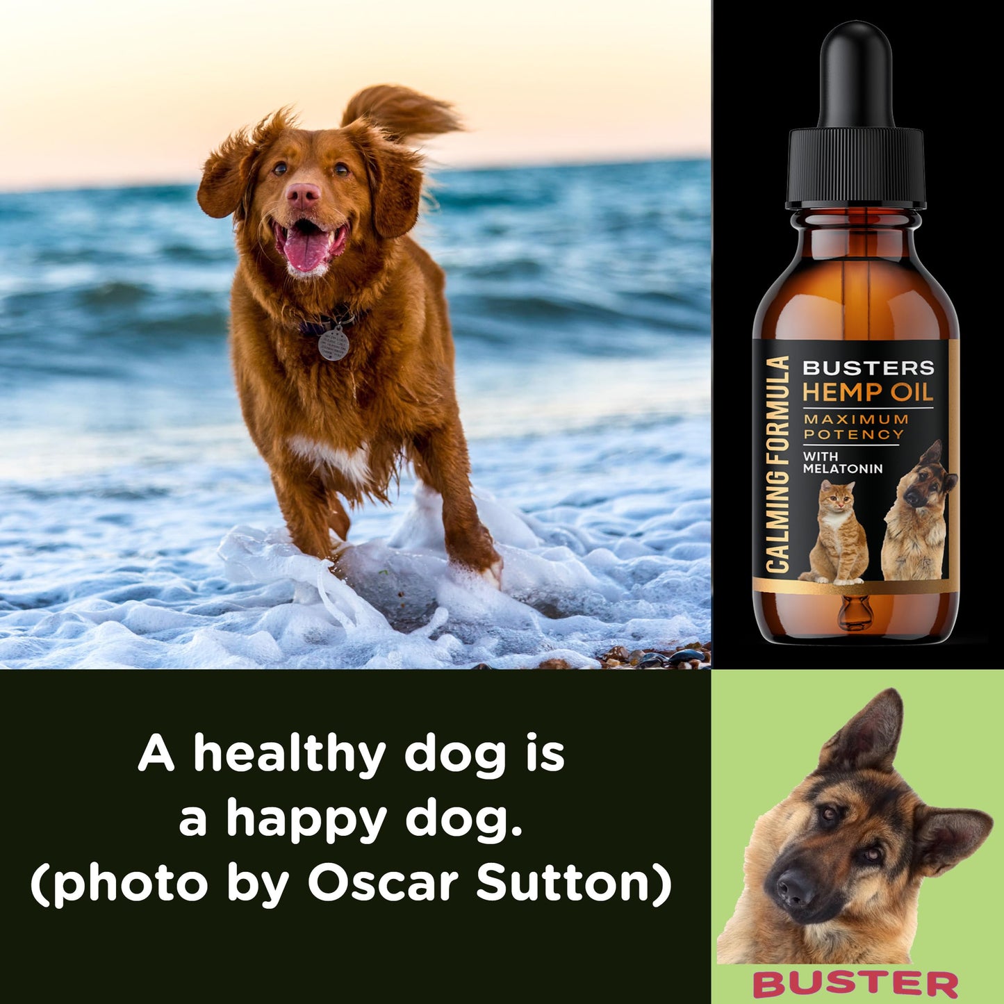 Busters Calming Hemp Oil, Enriched with Melatonin for Dogs, Cats, Pets, Sleep, WEL Being and an Ideal Omega Ratio, Adrenal and Cushings Support