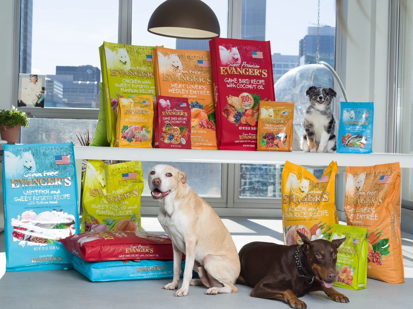 Evanger's Grain Free Whitefish and Sweet Potato Recipe with Salmon Meal Dry Food for Dogs – 4.4 lb – Chicken & Poultry Free – With Prebiotics, Coconut Oil & Omega Fatty Acids – For All Life Stages