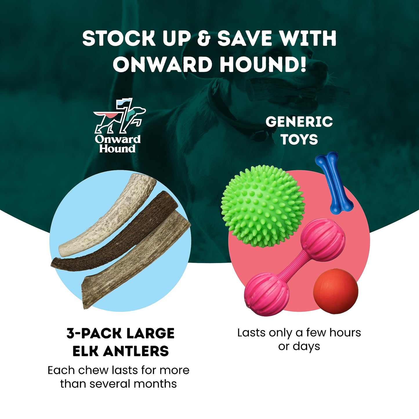 Onward Hound Elk Antlers for Dogs, 7"+ Large 3-Pack, Grade A Long Lasting Chew for Aggressive Chewers, Premium USA Naturally Shed Antler - Healthy, No Odor, Durable Dog Chew for 30-65lb Breeds