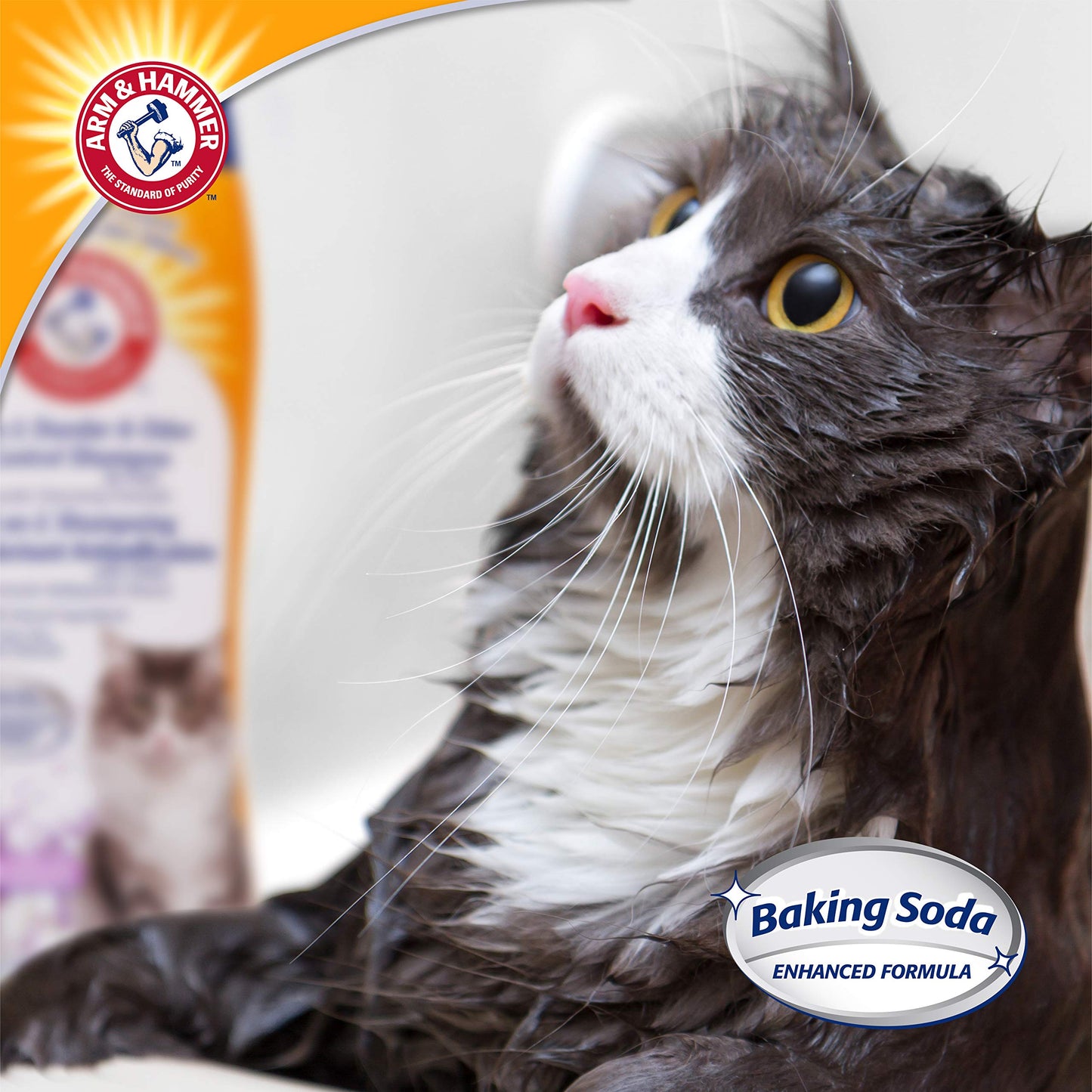 Arm & Hammer 2-in-1 Deodorizing & Dander Reducing Shampoo for Cats, Dander Remover for Dander and Odors, Baking Soda Moisturizes and Deodorizes, Lavender Chamomile Scent, 20 Fl Oz (Pack of 1)