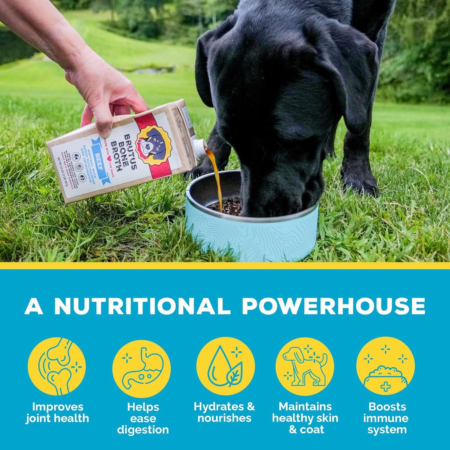 Brutus Beef Bone Broth for Dogs - All Natural Bone Broth with Chondroitin Glucosamine & Turmeric, Human Grade Food Toppers for Picky Eaters & Dry Food -Tasty & Nutritious- Pack of 6