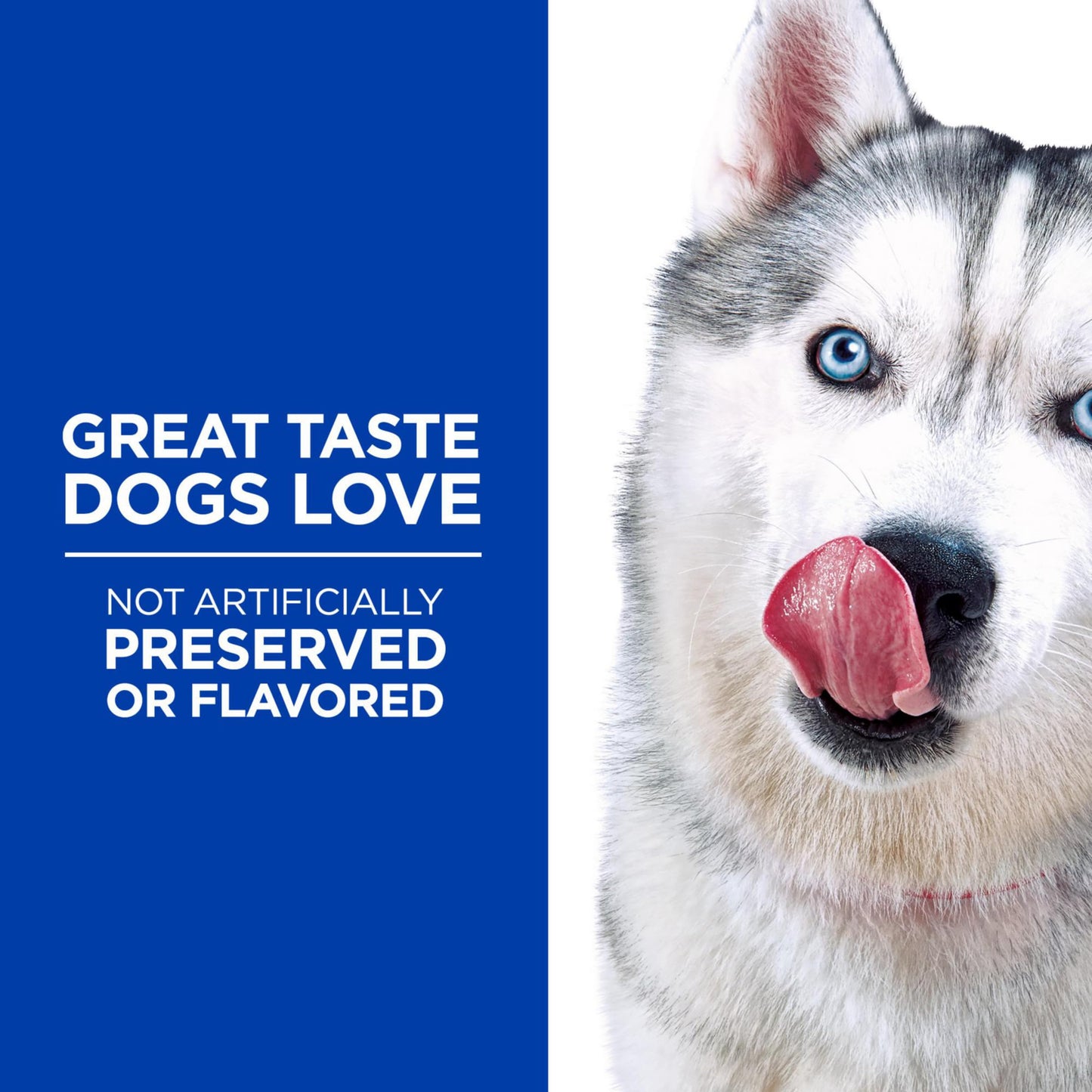 Riley's Waffles Chicken Chips for Dogs with Turmeric, USA Sourced Chicken Dog Treats - Limited Ingredient Healthy Treats, Dehydrated Jerky Dog Treats