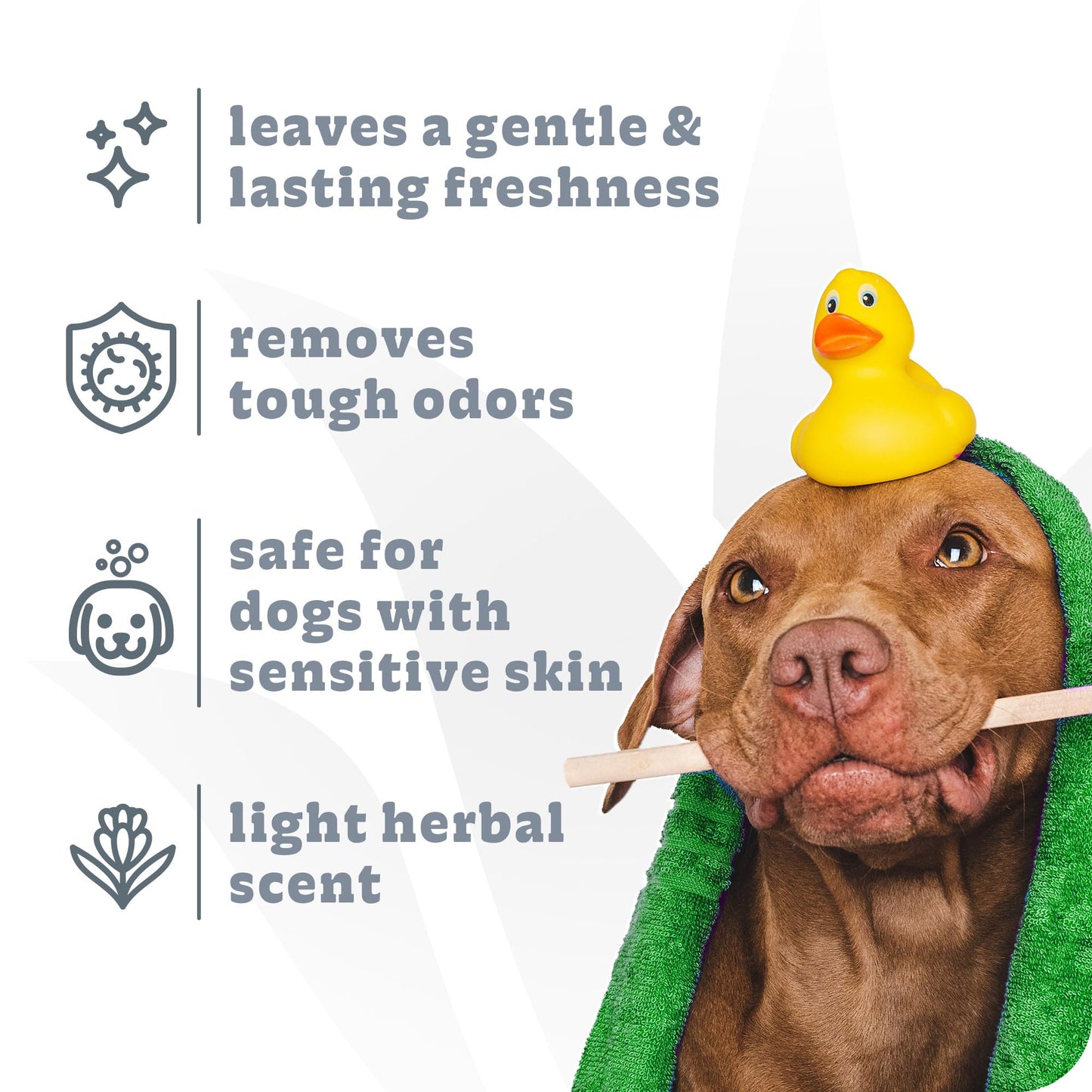 Espree Intense Charcoal Odor Neutralizer Dog Shampoo & Conditioner, Eliminates Stubborn Dog Odors, Plant Based Ingredients, 2 in 1, Charcoal-Infused Odor Neutralizer for Dogs, Cruelty-Free, Gallon