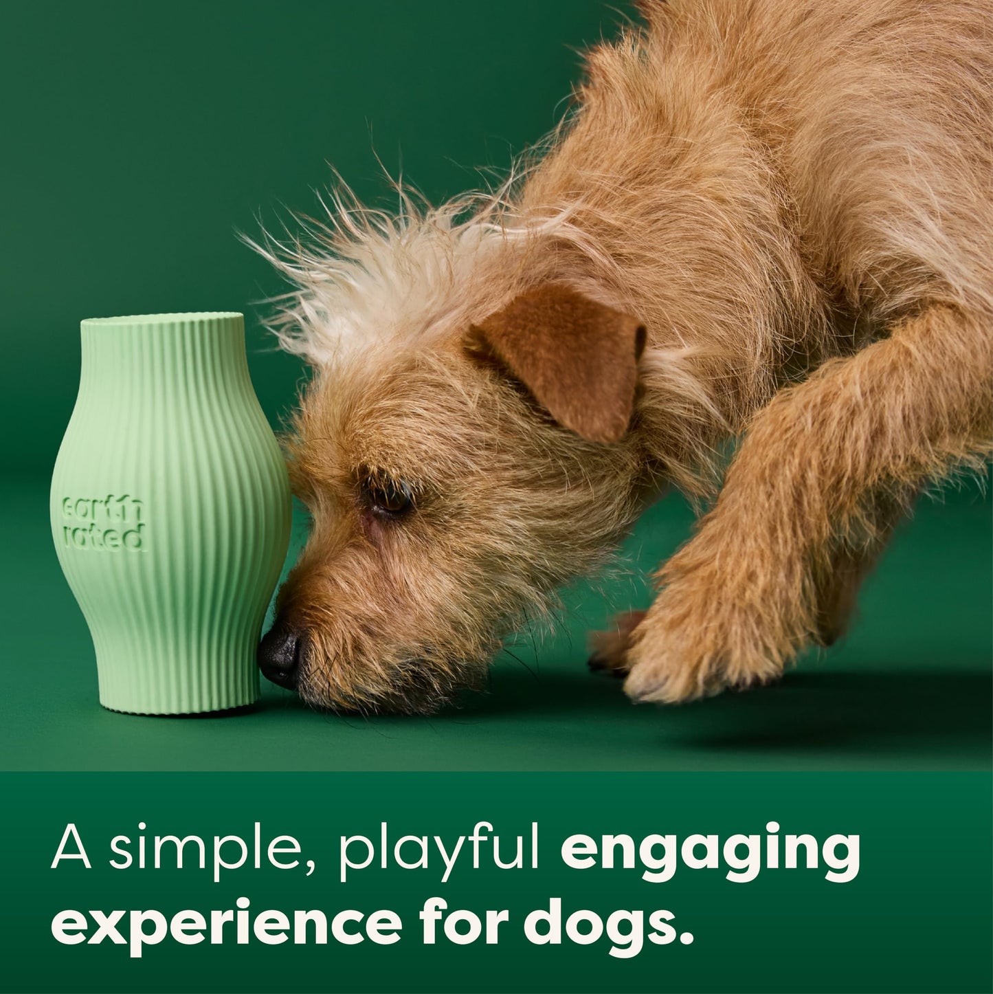Earth Rated Treat Dispensing Dog Toys, Enrichment Toy for Adult and Puppy Dogs, Slow Feeder, Dishwasher and Freezer-Safe, Natural Rubber, Small, Green